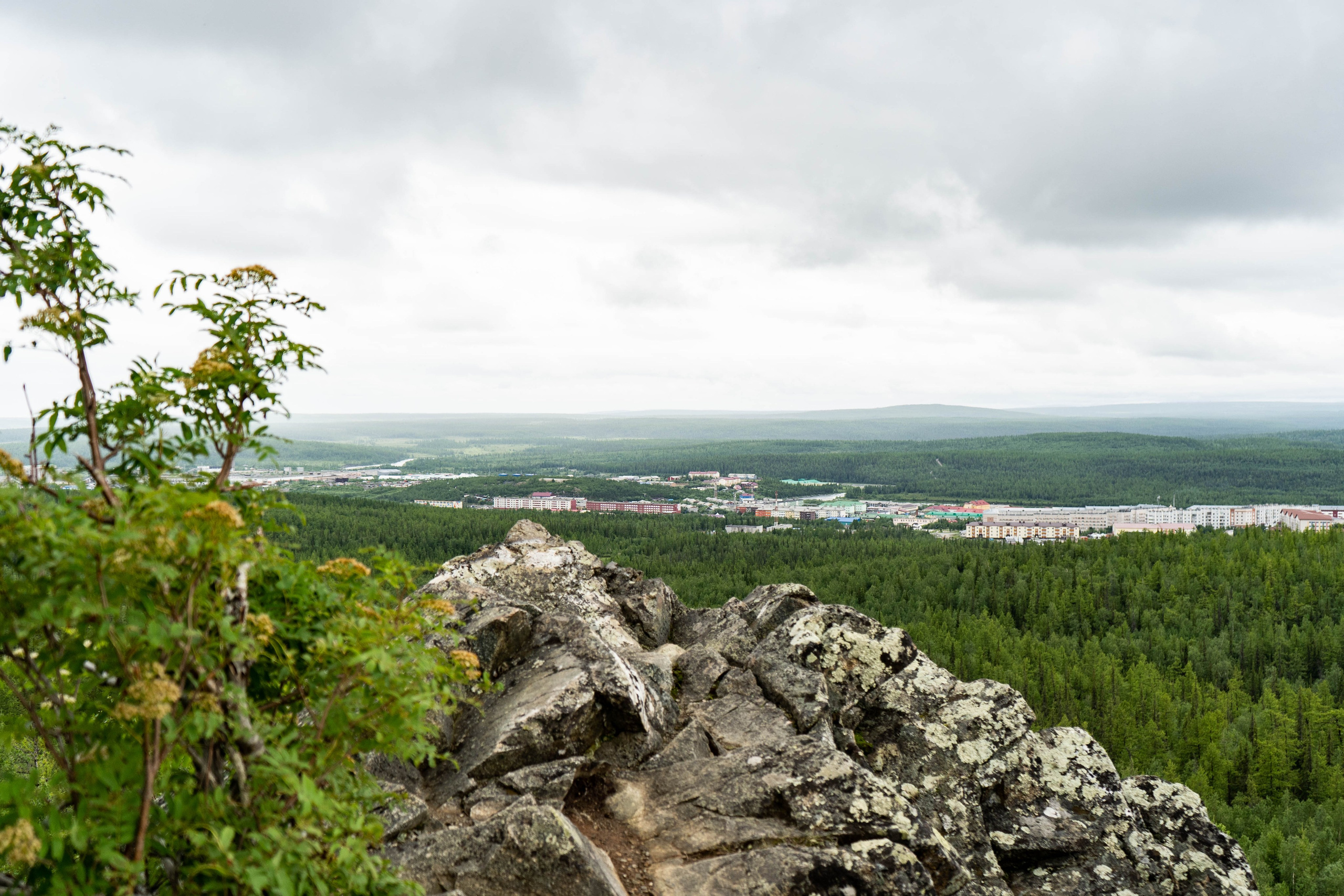 Лето в тундре. Фотограф Екатерина Зорина