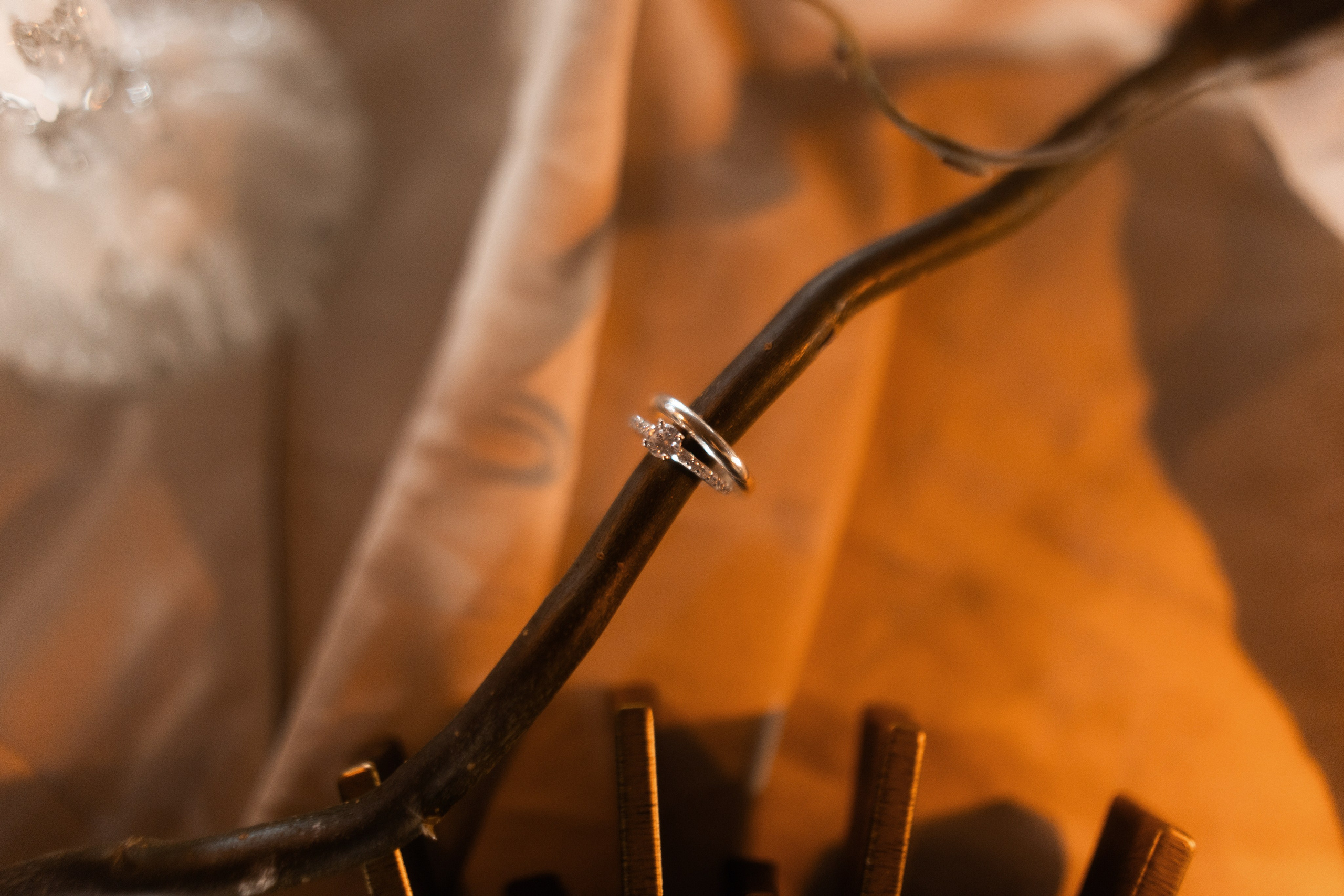 Александр и Елена. Свадебный фотограф в Барнауле Четошникова Анна