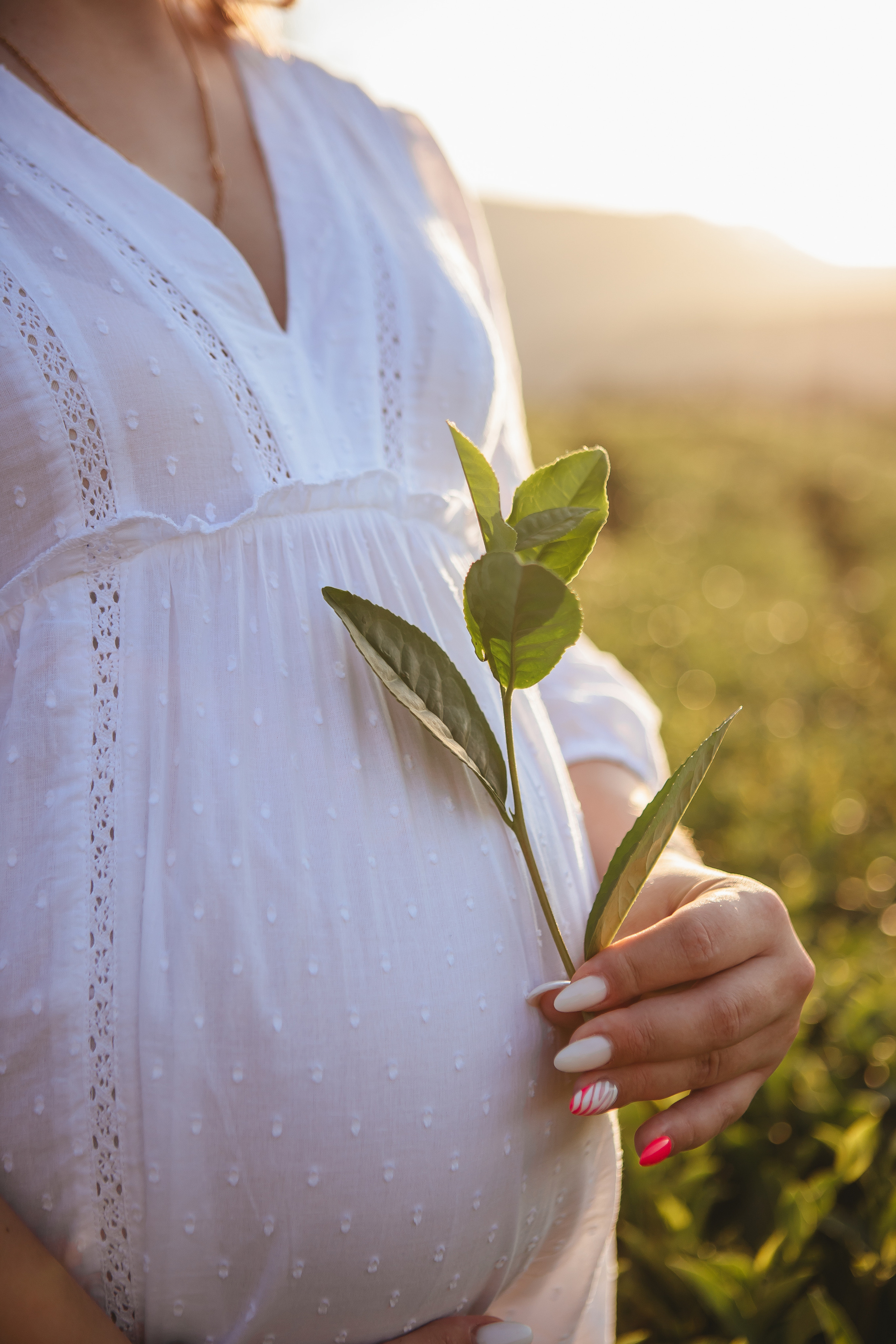 «В ожидании» чайные плантации. Семейный и свадебный фотограф Сочи Адлер Сириус Красная поляна