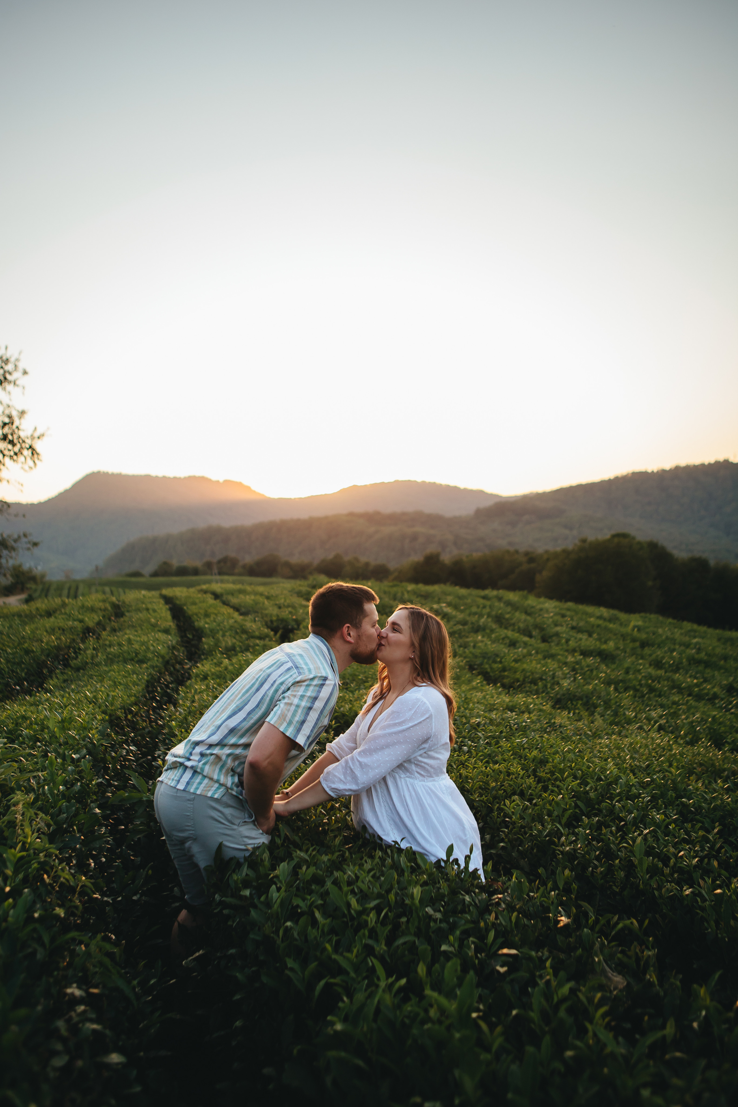 «В ожидании» чайные плантации. Семейный и свадебный фотограф Сочи Адлер Сириус Красная поляна