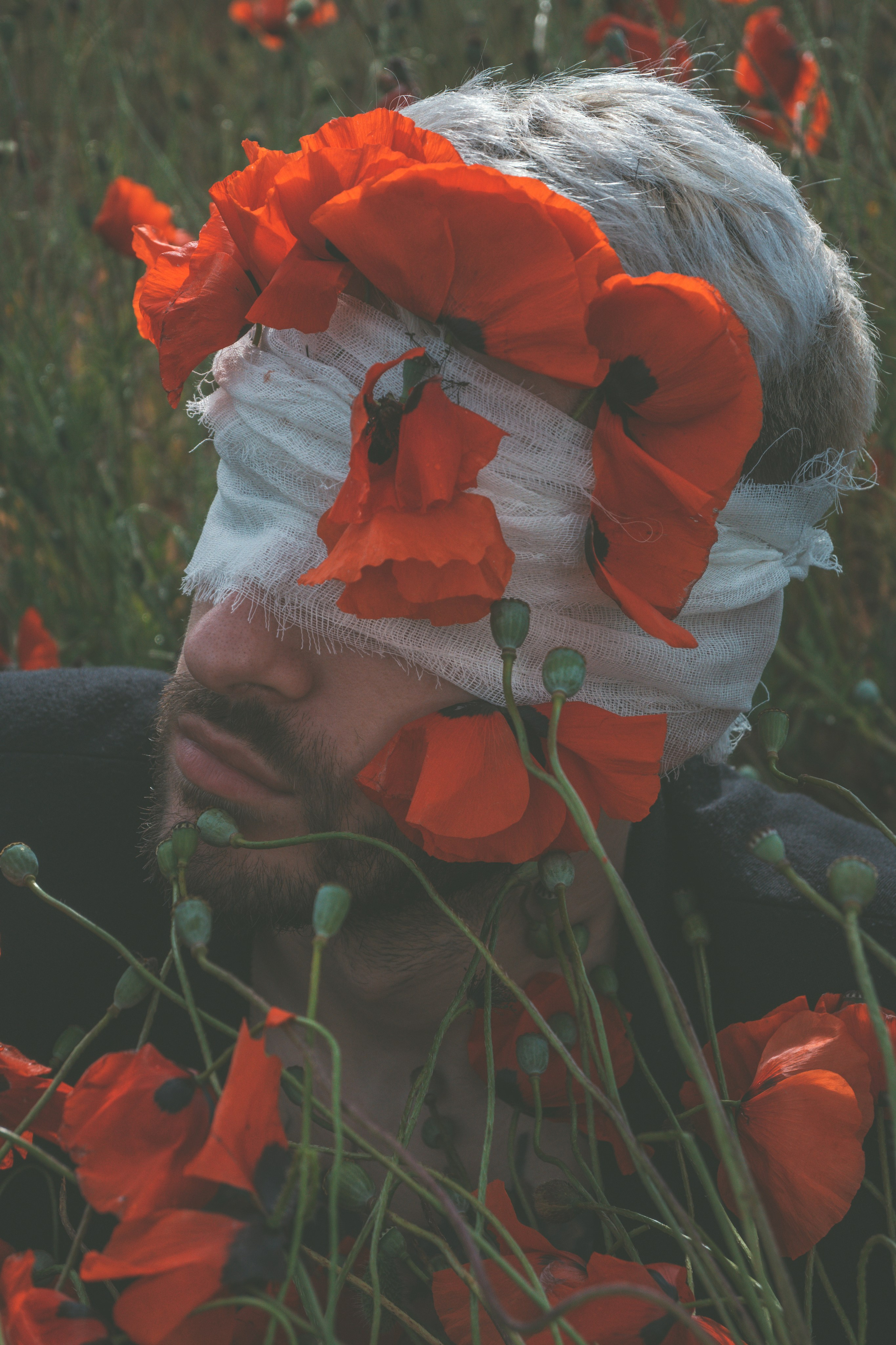 Tim. Fotograf Dmitrii Donets