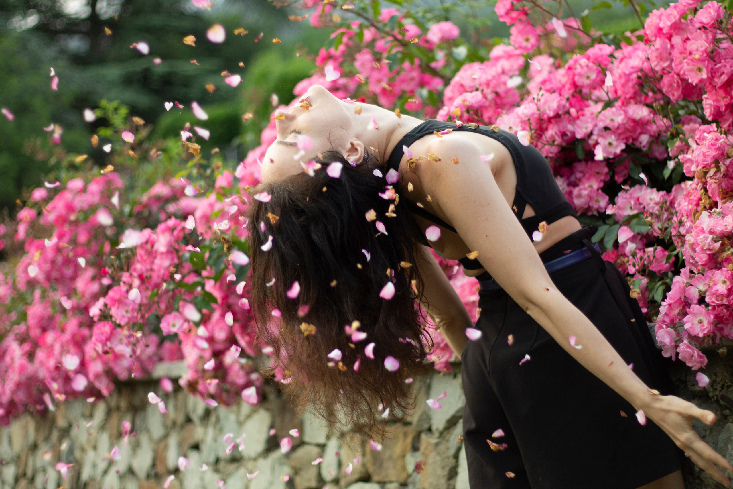 Woman in pink roses has a petal shower 