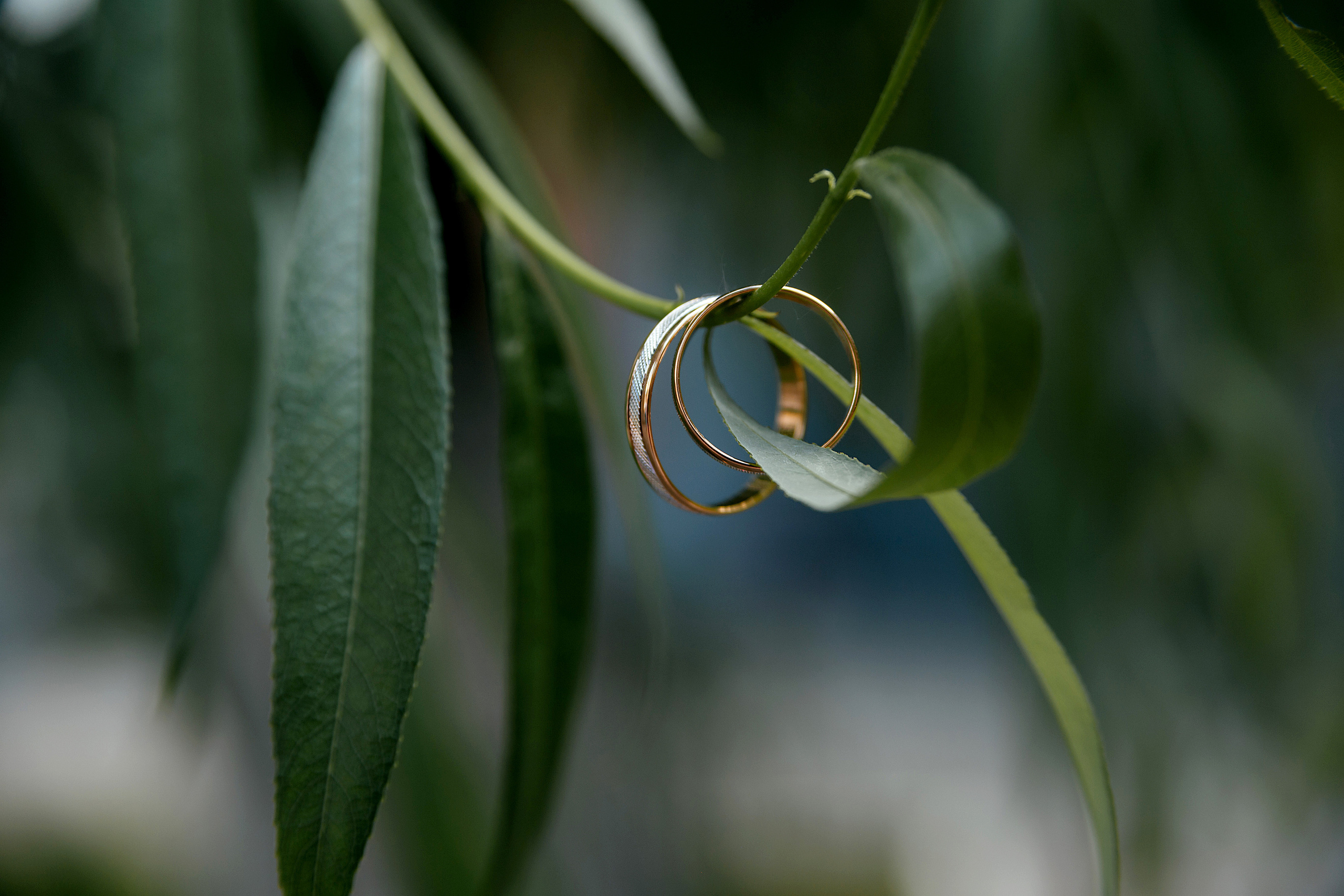 Степан & Дарья. Свадебный и семейный фотограф в Самаре и Тольятти Башкатова Ольга