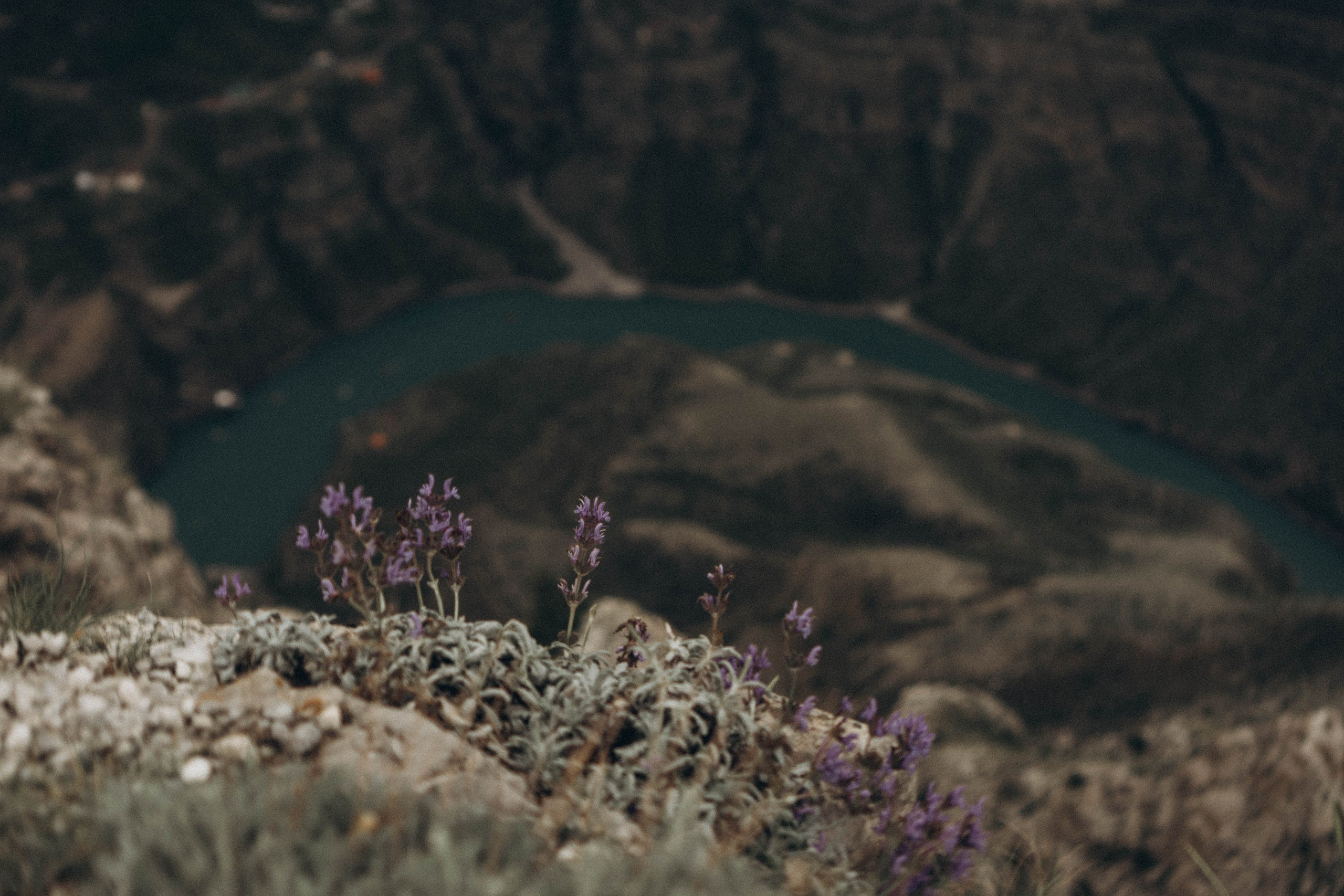 Кавказ. Профессиональный фотограф, Санкт-Петербург — Виктория Богомолова