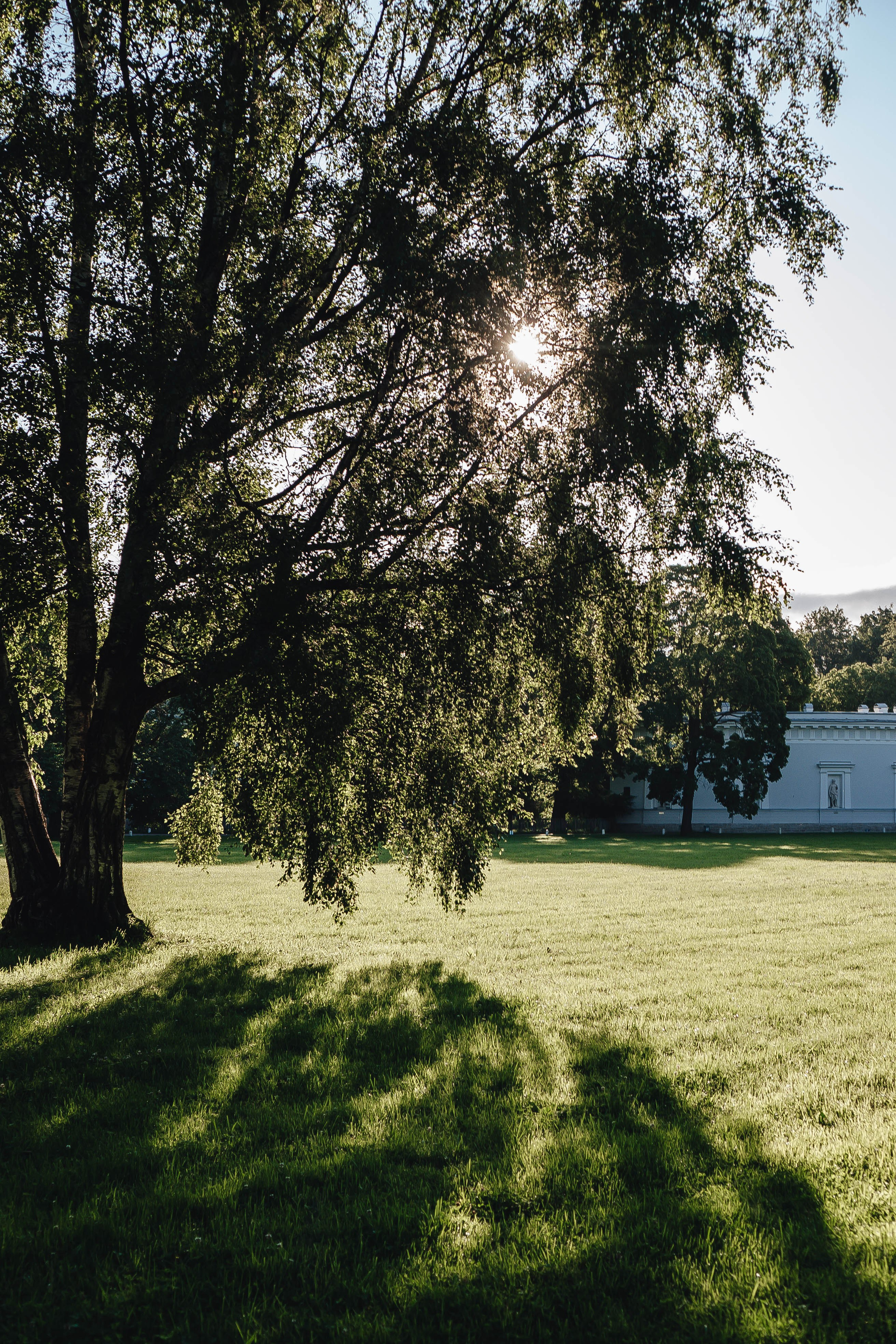 СВАДЕБНАЯ СЬЕМКА НА РАССВЕТЕ НА ЕЛАГИНОМ ОСТОРОВЕ. Профессиональный фотограф, Санкт-Петербург — Виктория Богомолова