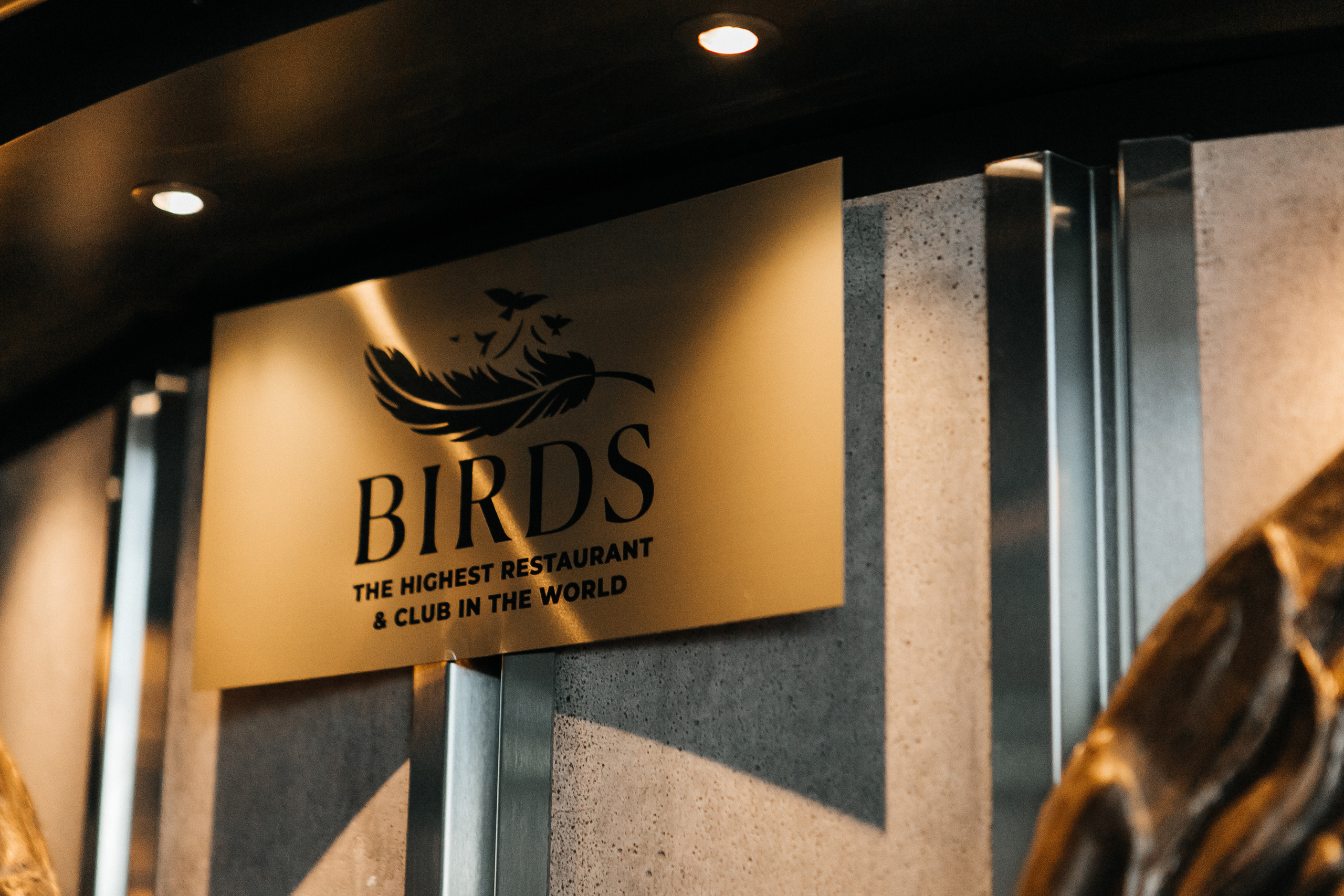 свадьба, свадебный, москва сити, birds, свадебные фото, свадебный фотограф