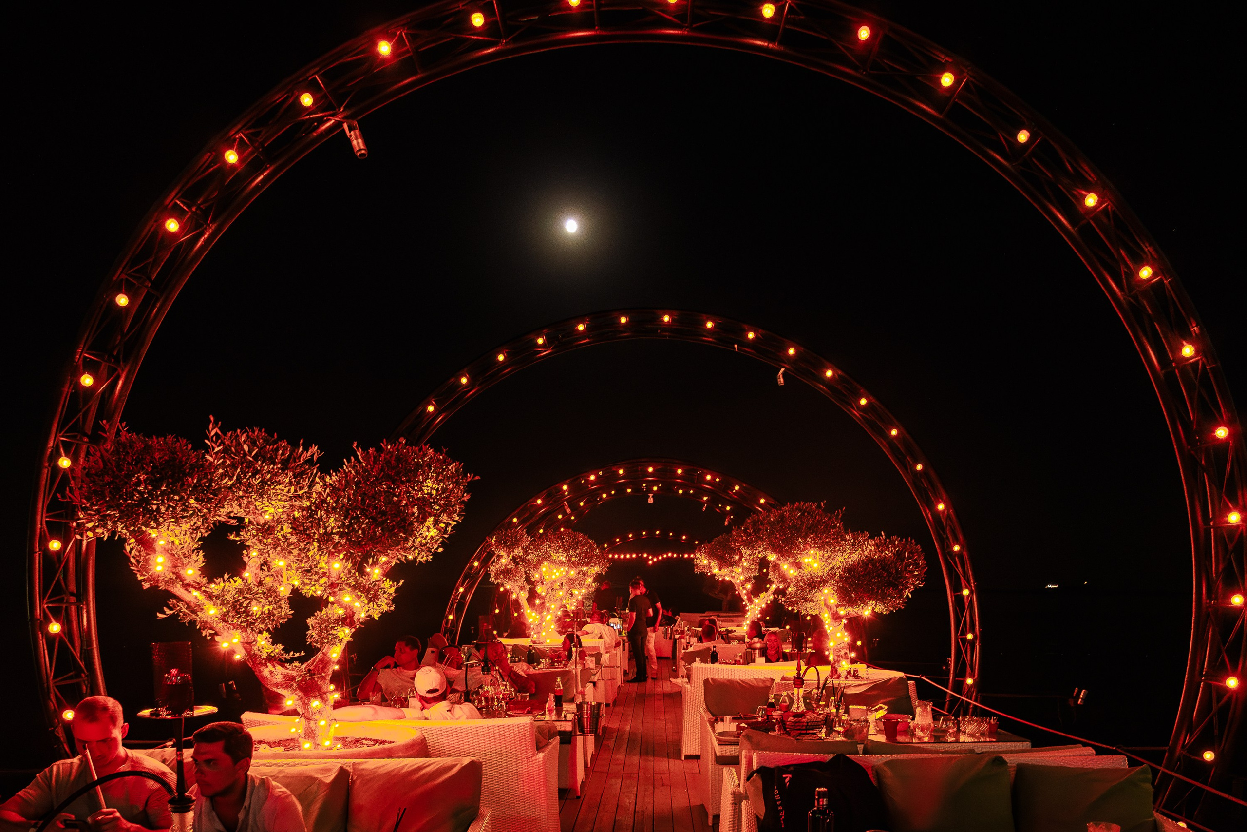 «Джиган"_Чайка на пляже_Ялта_12.07.2025 г. Аминов Руслан | Фотограф