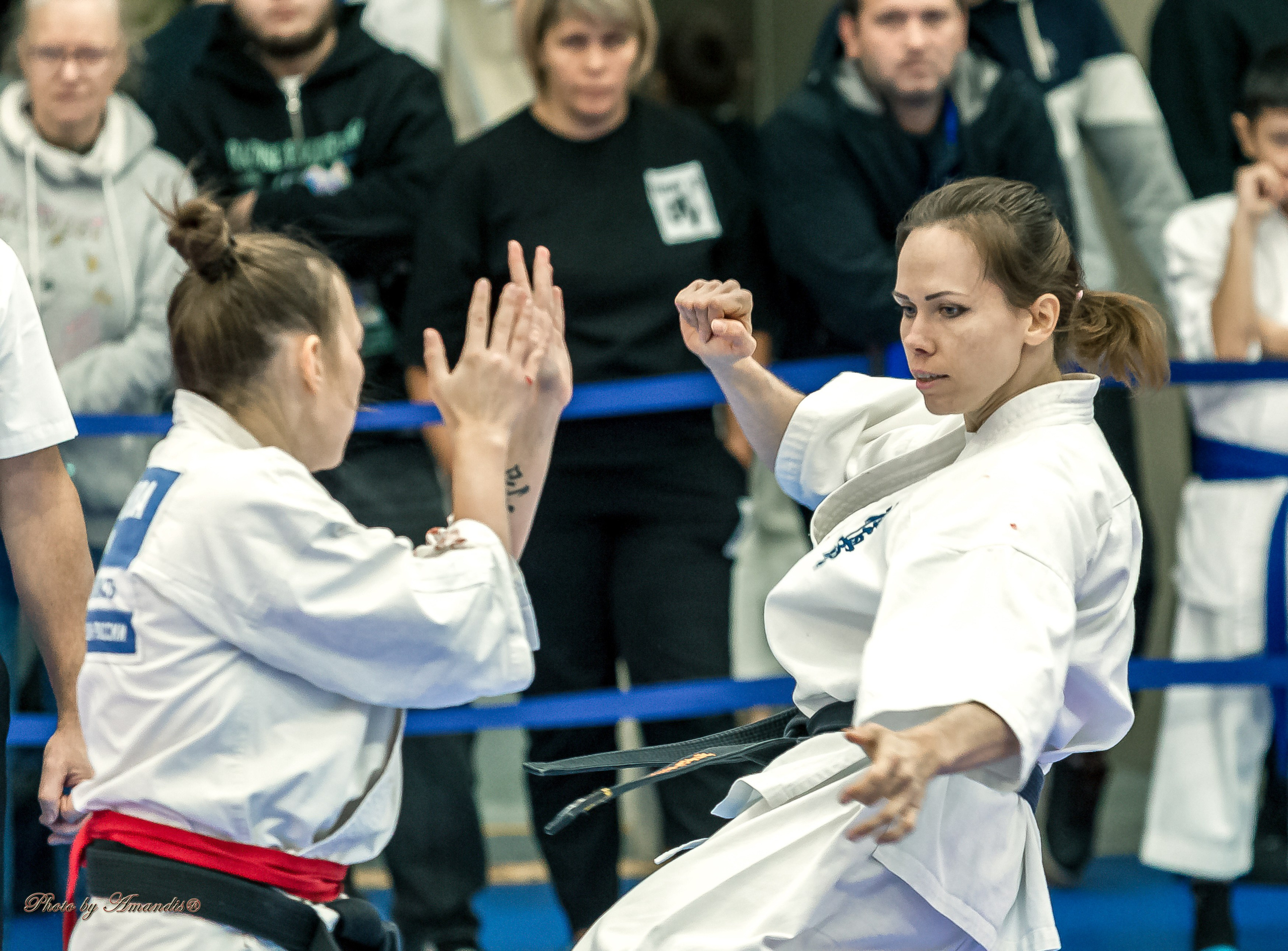 Чемпионат по Киокушинкай Центрального Федерального округа. Репортажная съемка в Москве и области. Анималистика