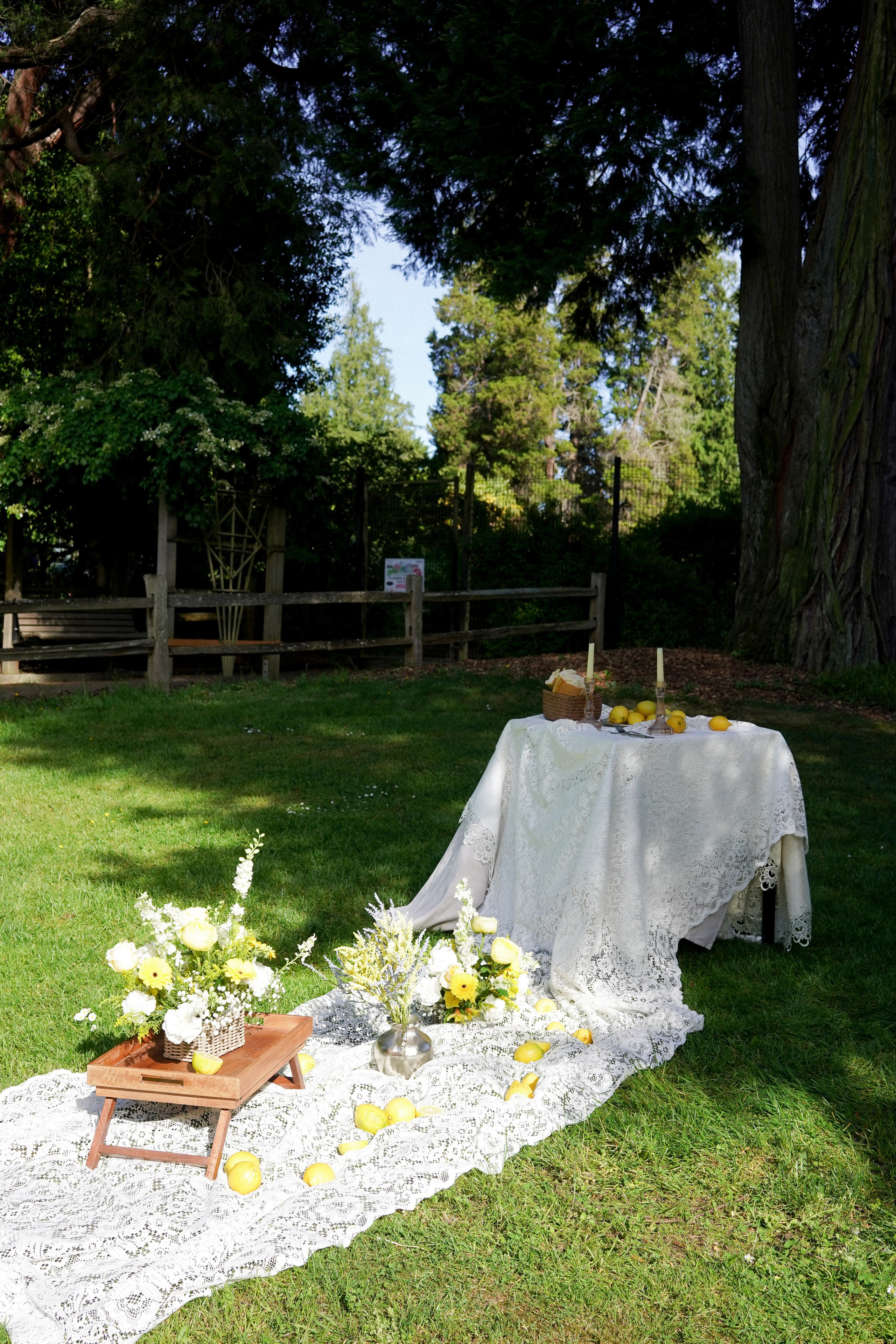 CHRIS&JULIA. Elopement & wedding photographer in Seattle, WA