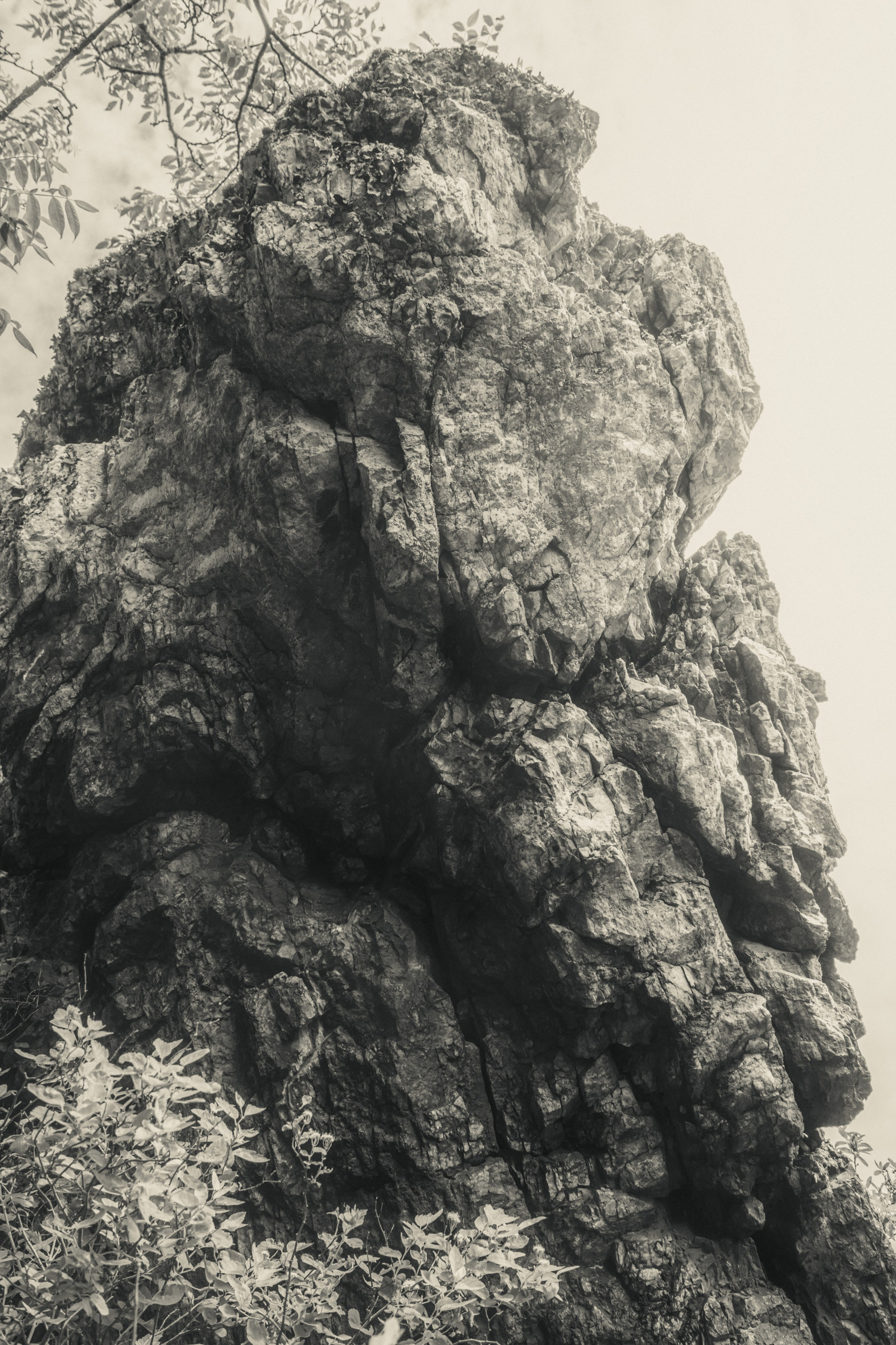 Монохромная и минималистичная фотография природы. Фотограф | Макс Коробкин