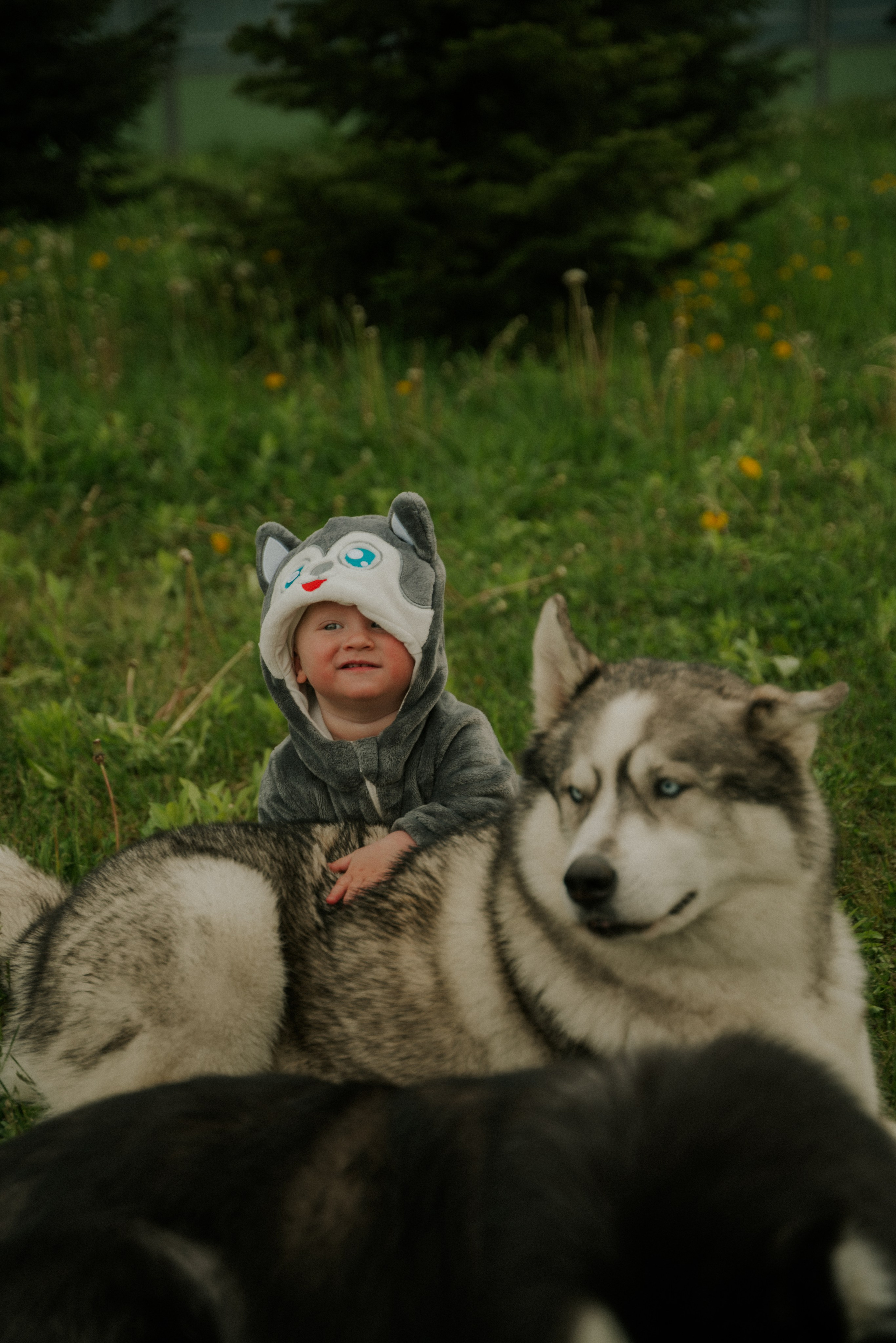 Zenya, Dima & Artem. Емельянова Елена