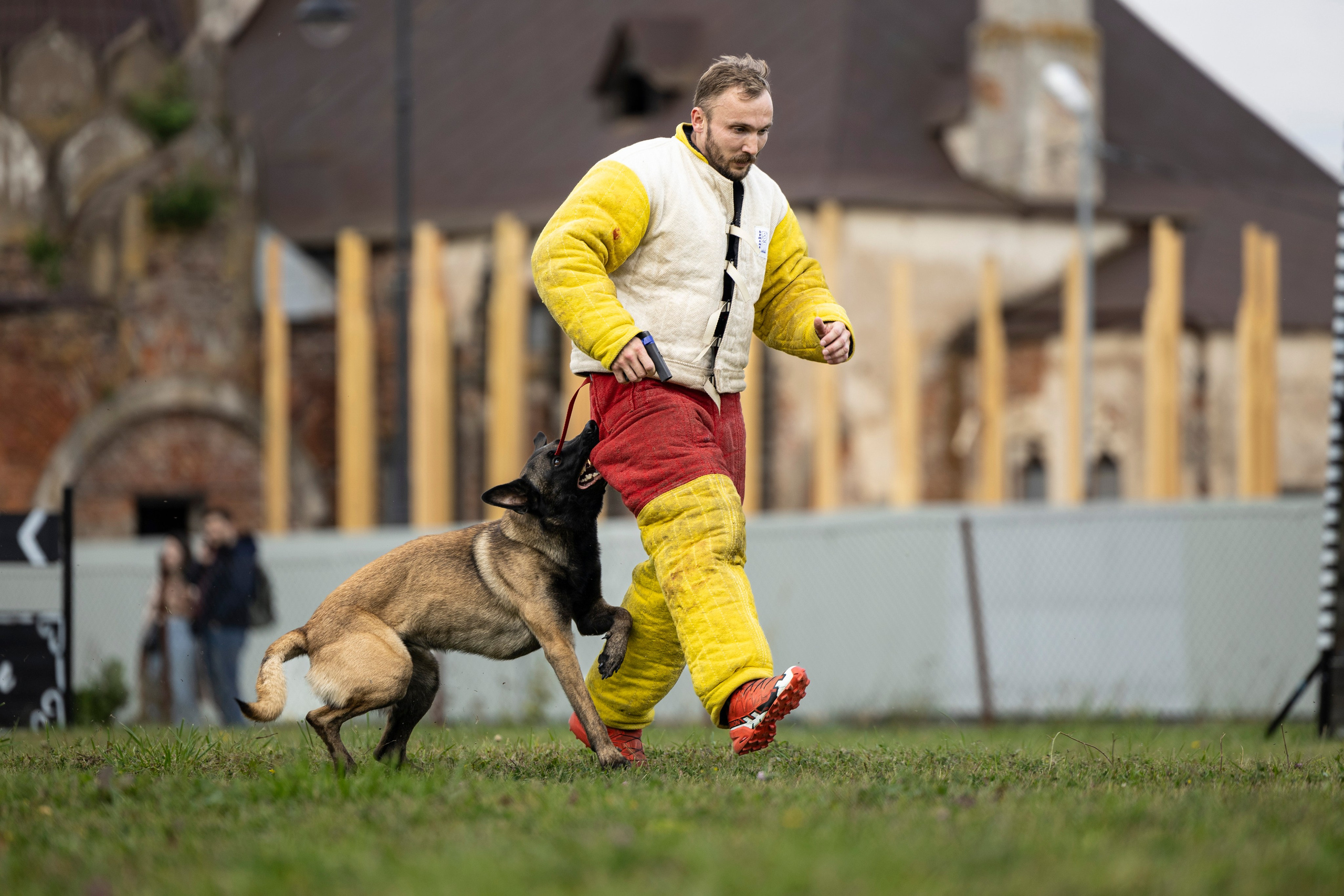 Испытания по Мондьорингу г. Пушкин. Фотограф-анималист Анна Маринич