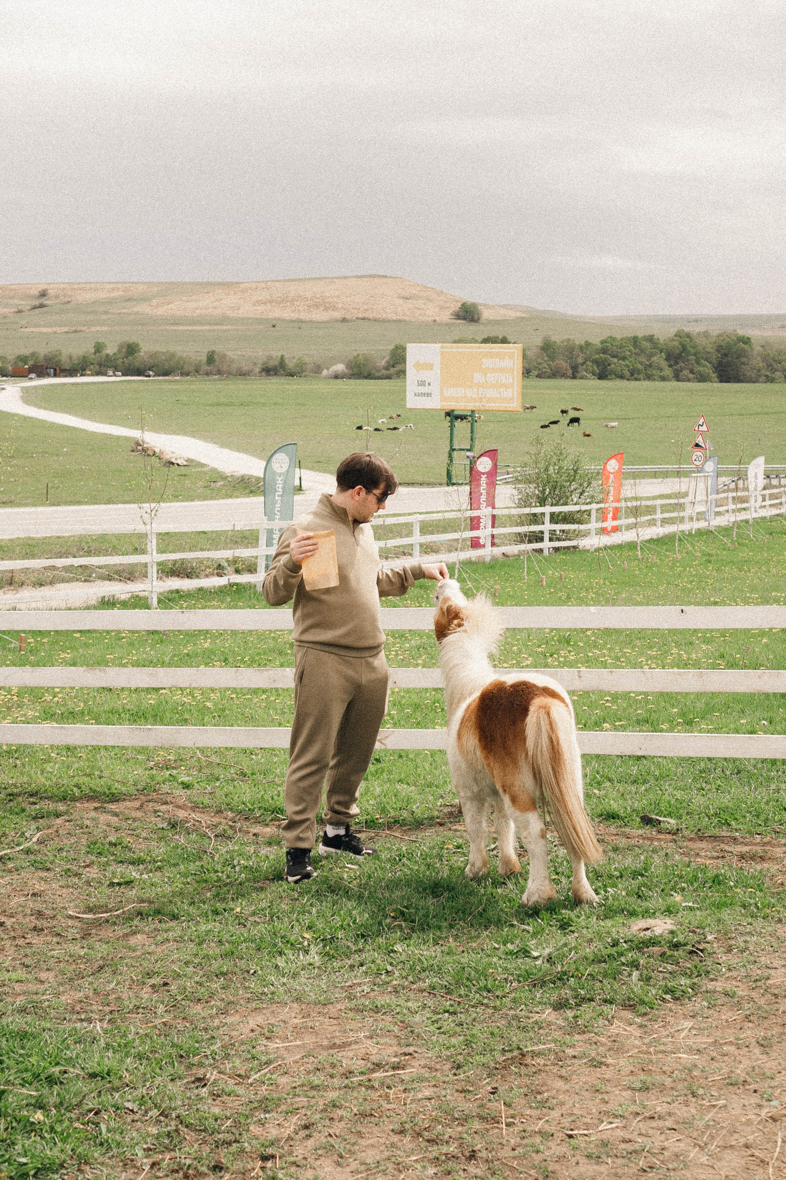 Ферма Альпак. Профессиональный фотограф, Санкт-Петербург — Виктория Богомолова