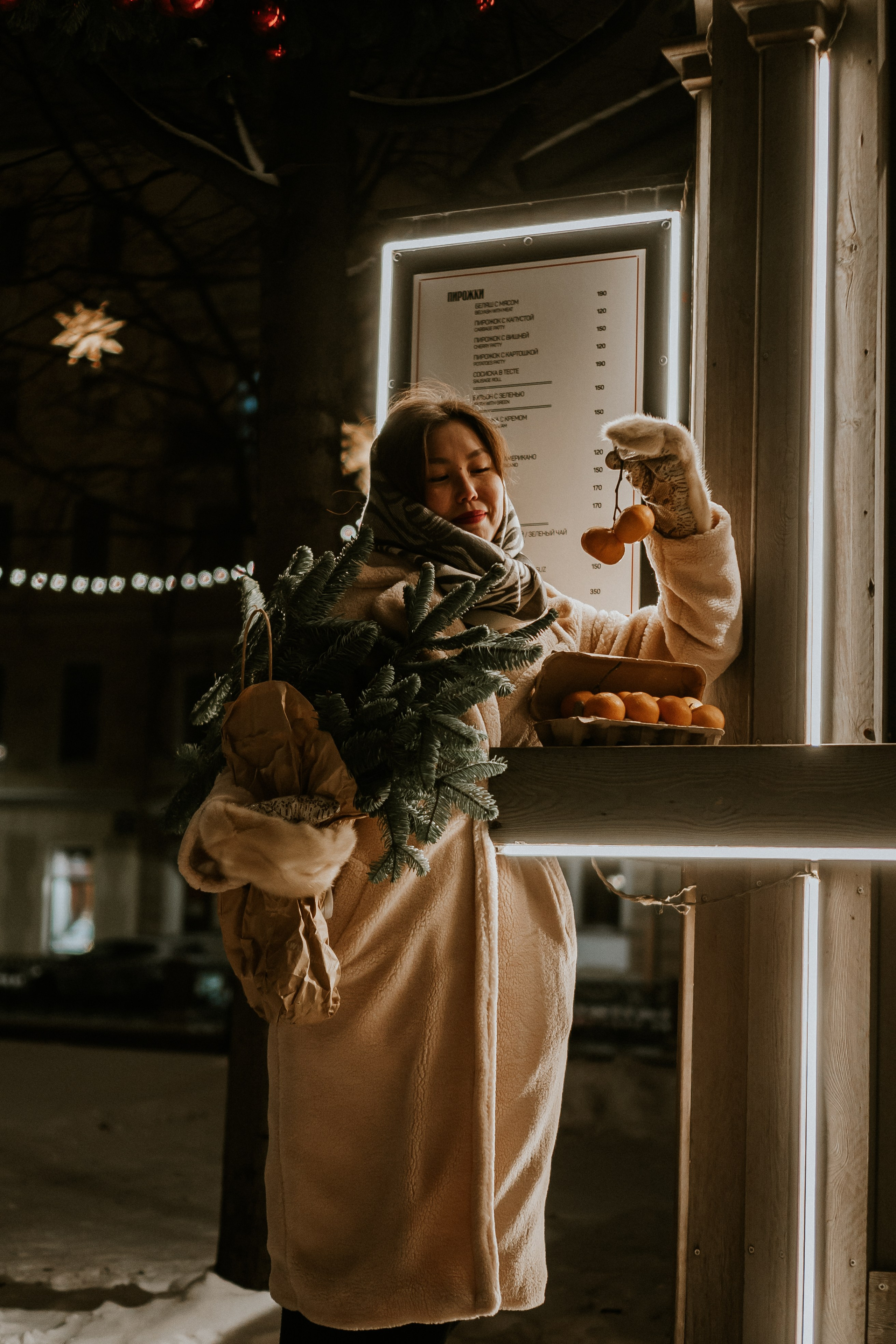 Зимняя сказка в Новой Голандии. Профессиональный фотограф, Санкт-Петербург — Виктория Богомолова