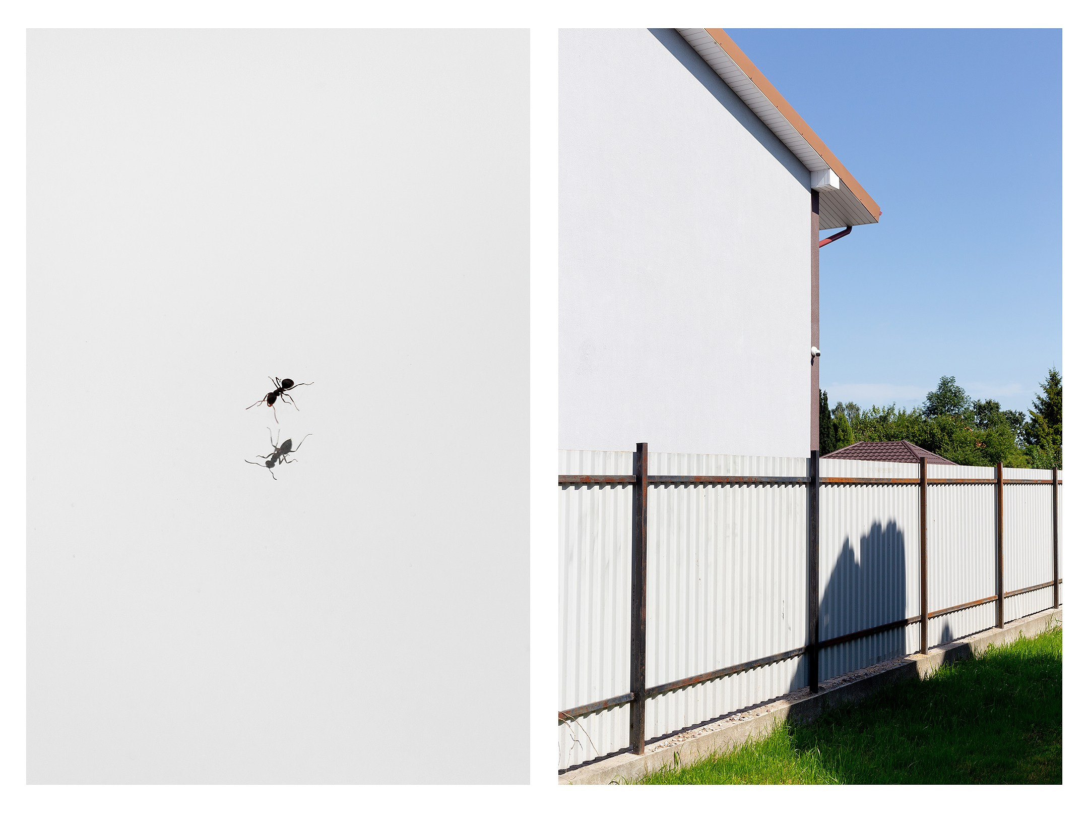 Спектакль. Фотографии Саши Любина