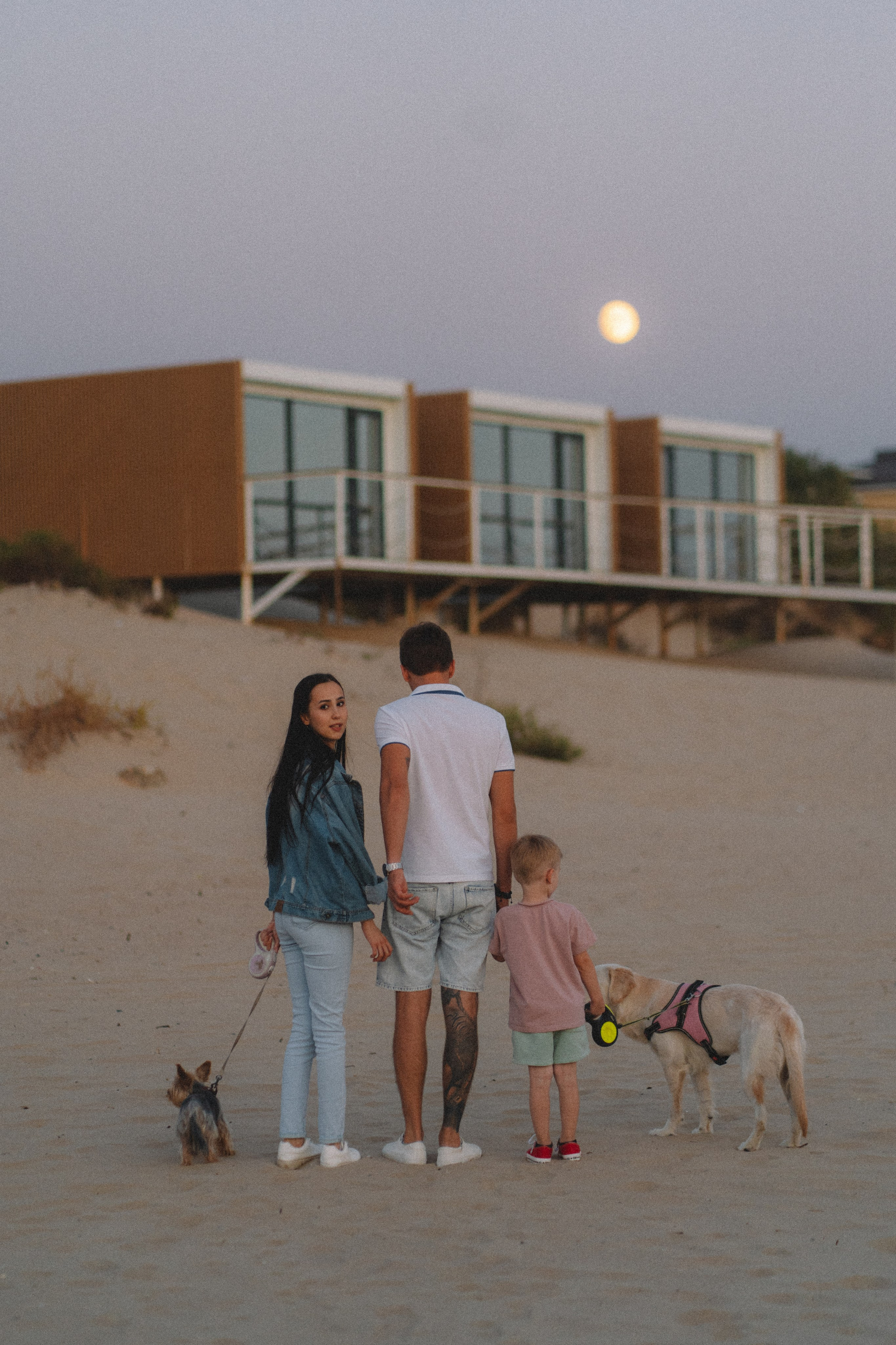 DogsVibe. Фотограф в Анапе Муратова Анна