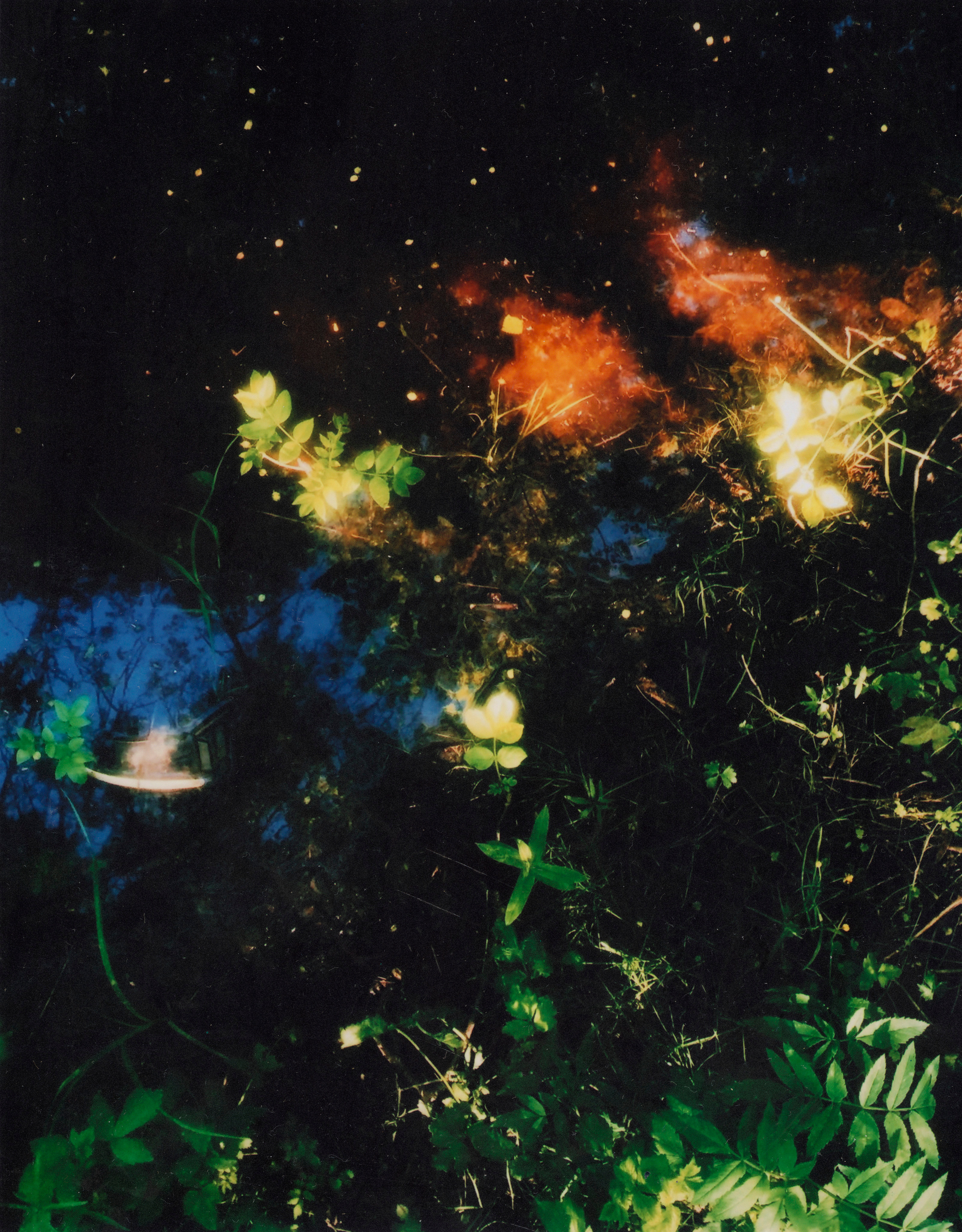 Album cover for sale. Фотограф Мария Немм