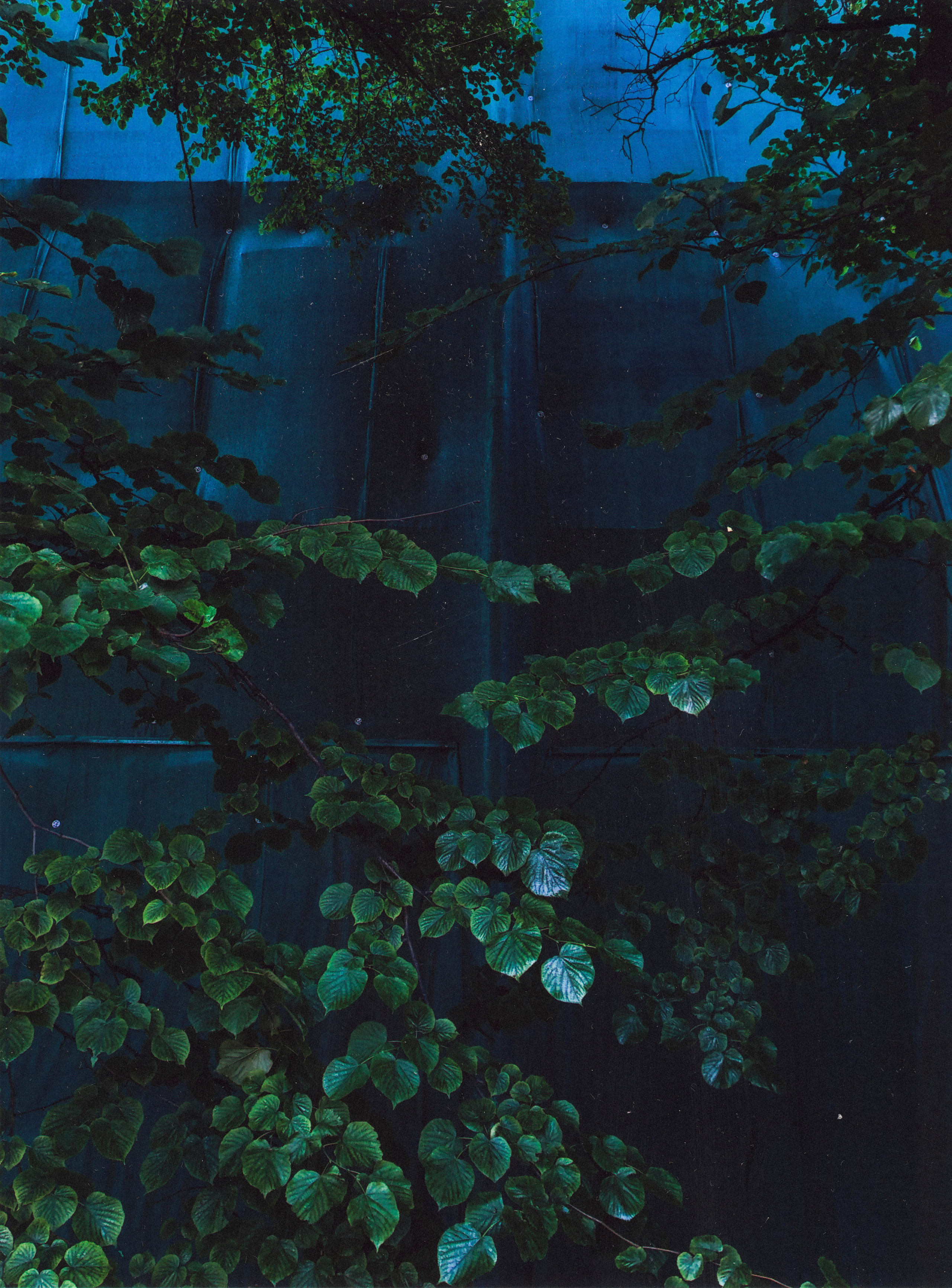 Album cover for sale. Фотограф Мария Немм