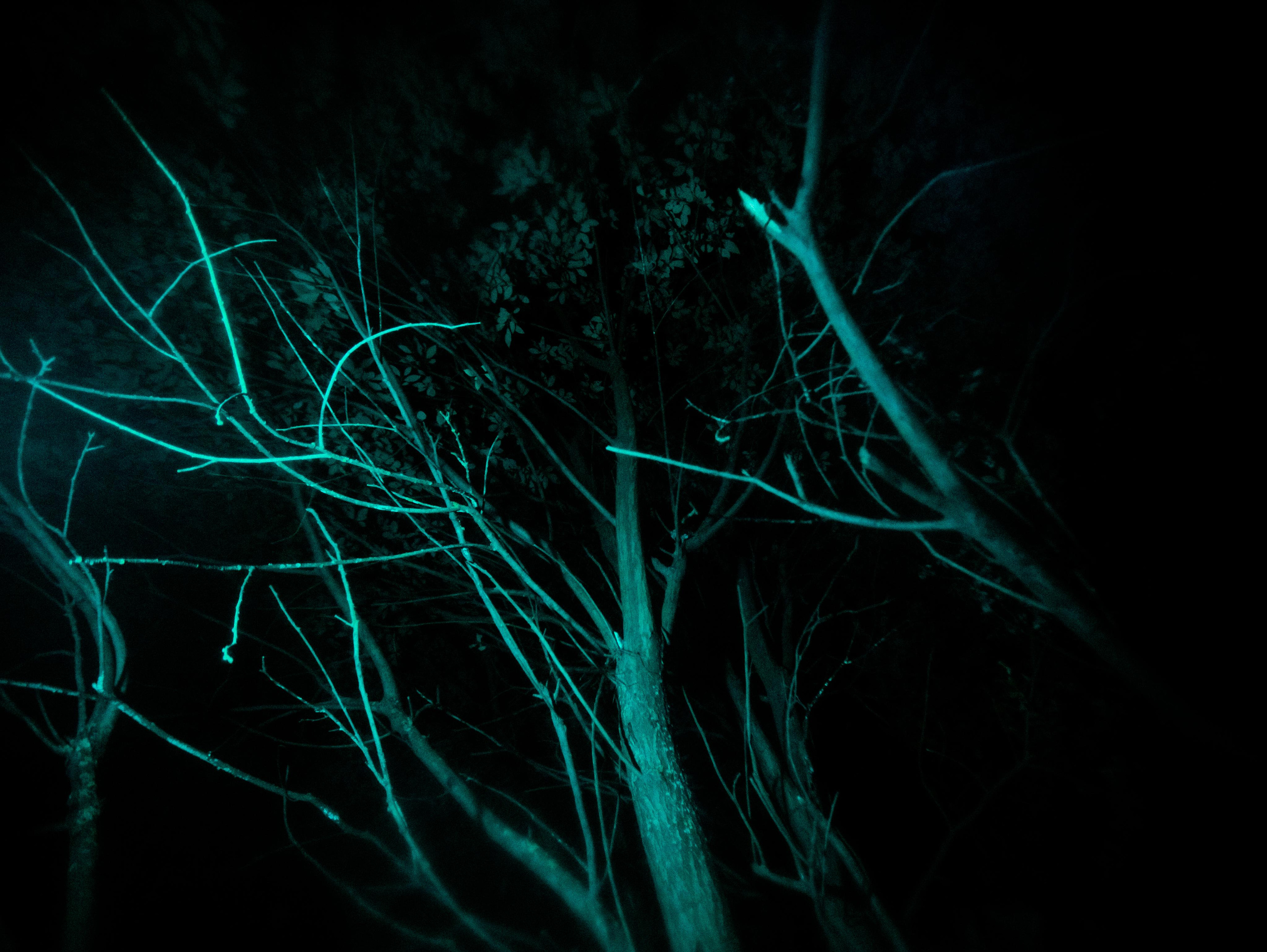 Strange things. Фотограф Мария Немм