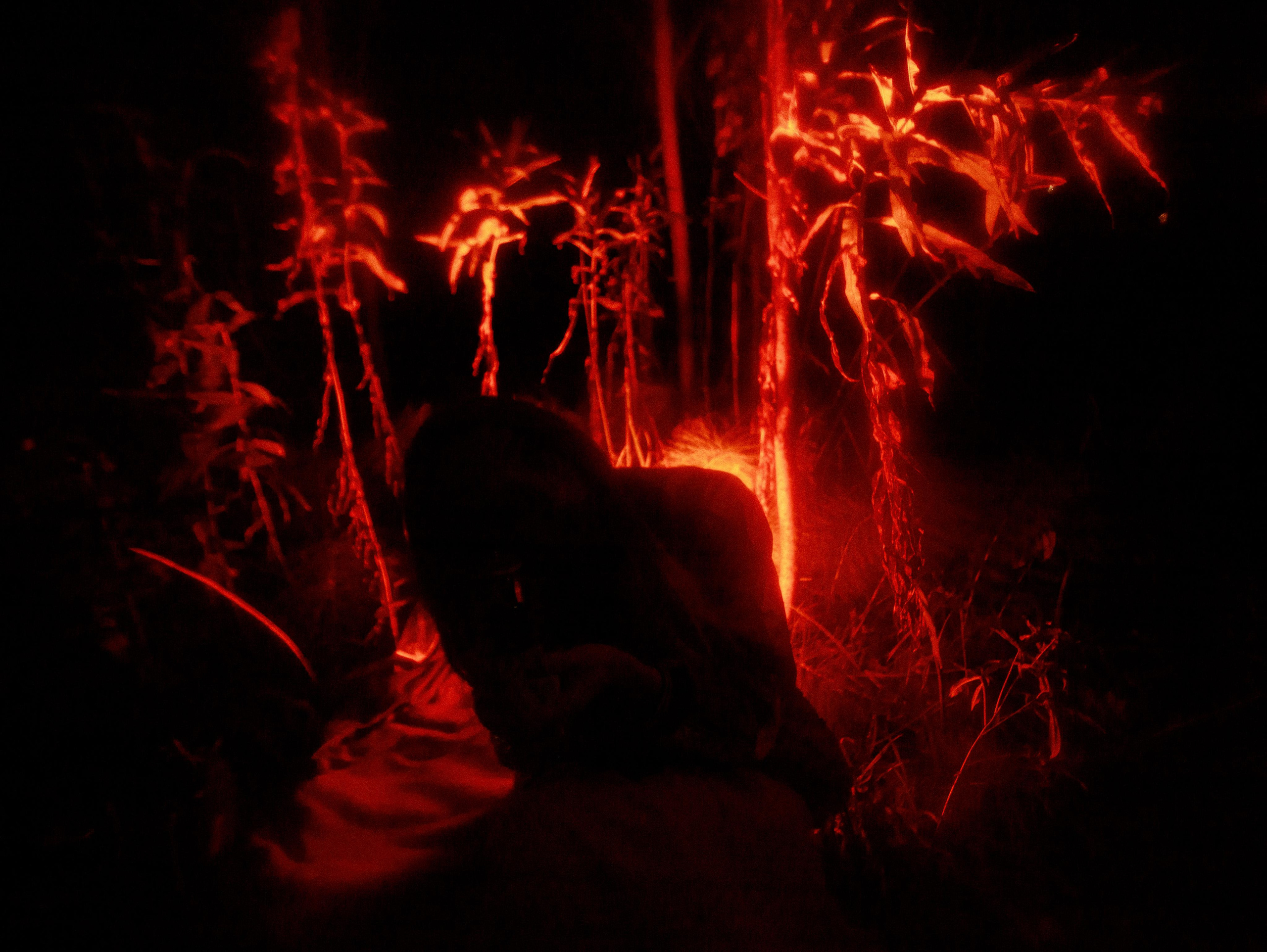 Strange things. Фотограф Мария Немм