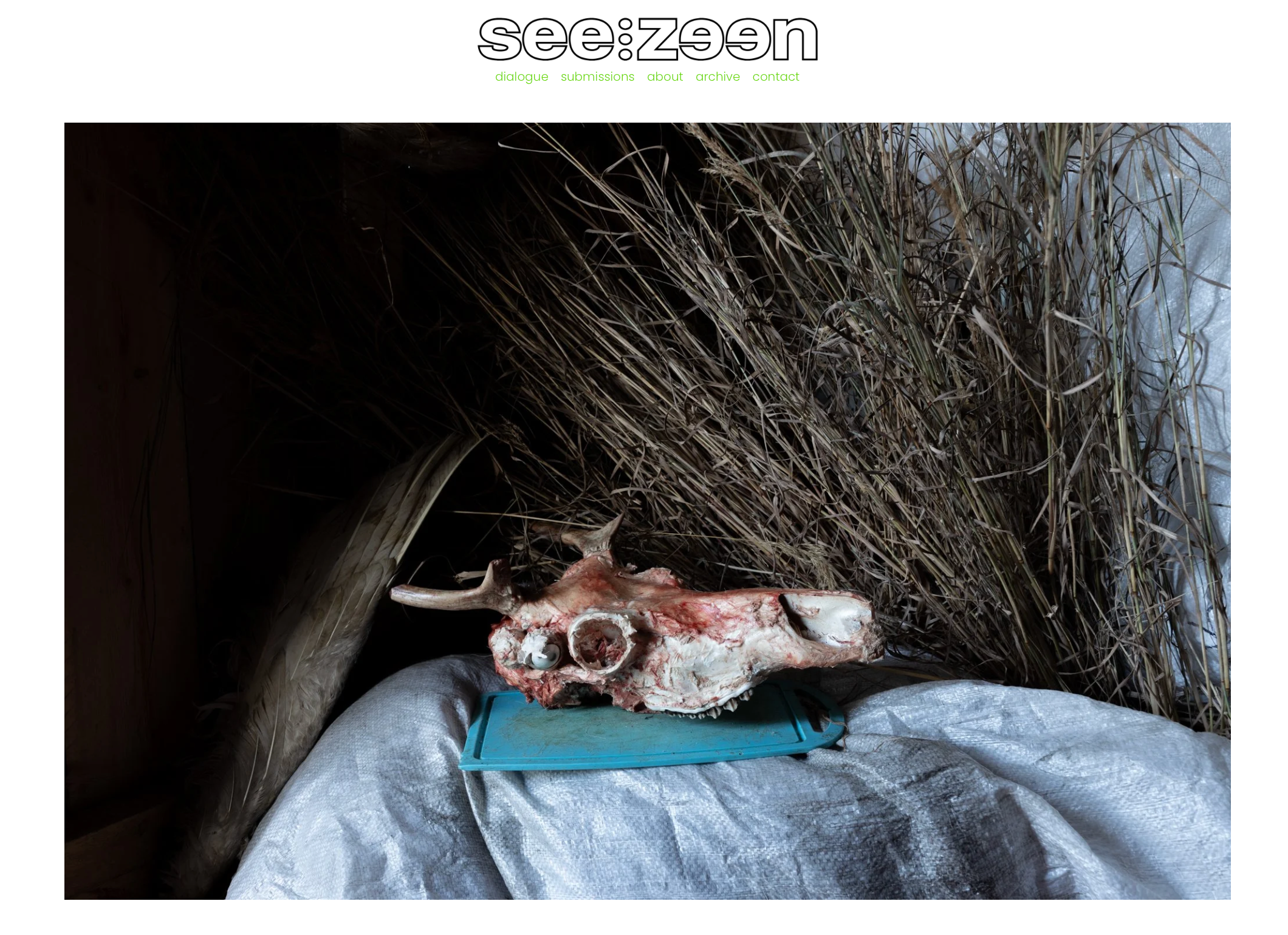 INTERVIEWS. Documentary photographer Anton Zdanovich