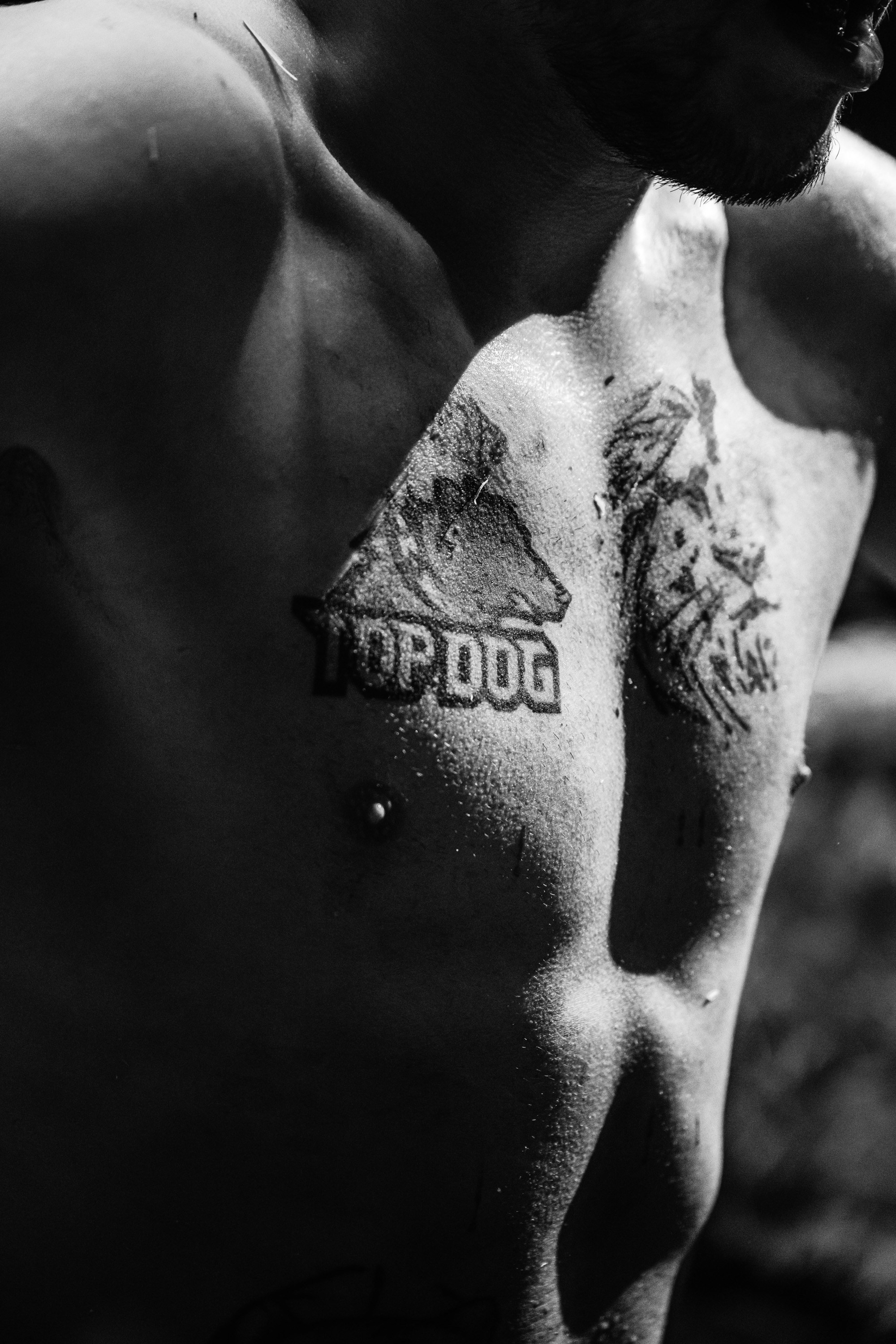 TOP DOG 2. Максим Комаров — Профессиональный фотограф