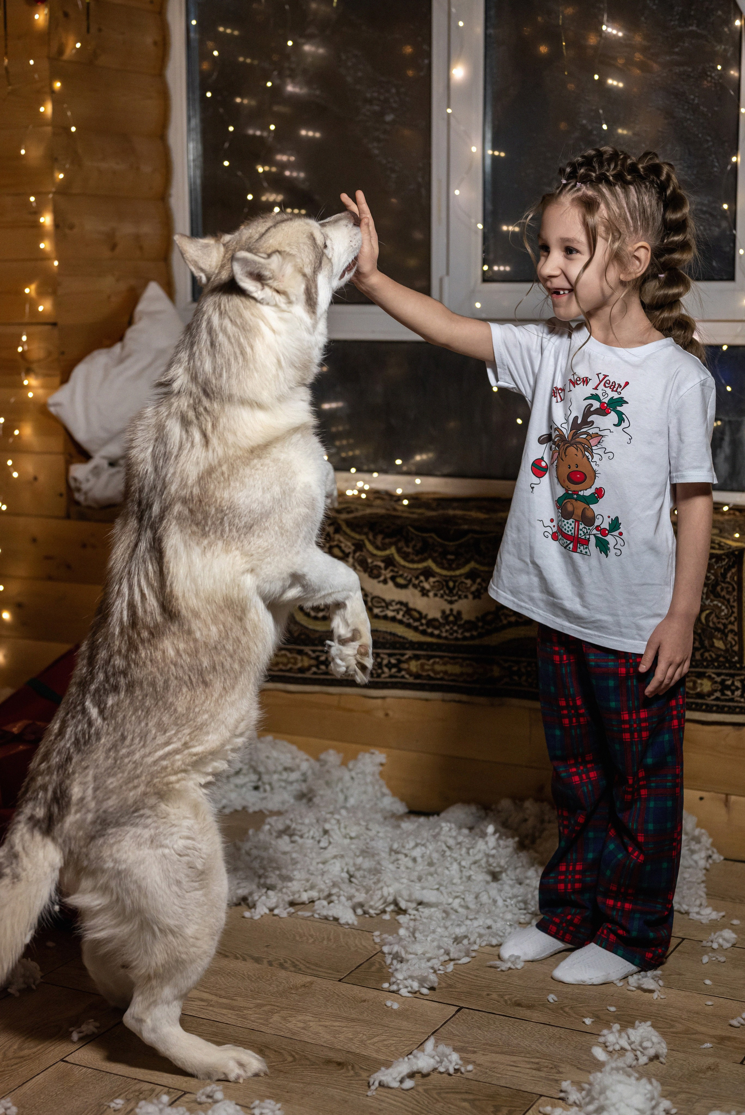 Фотопроект с хаски 2024 г. Фотограф в городе Салават