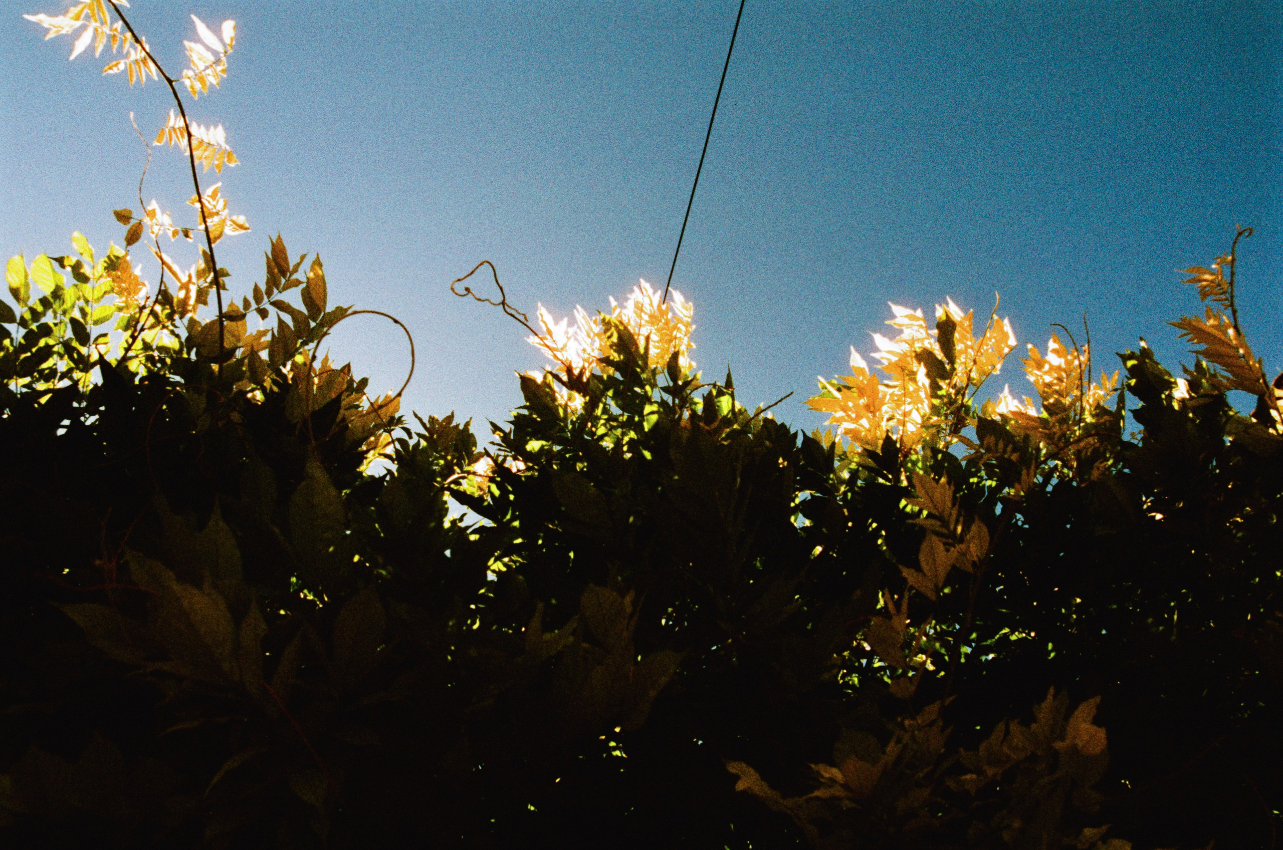 The contract // france, mazaugues. EVER EXPOSED