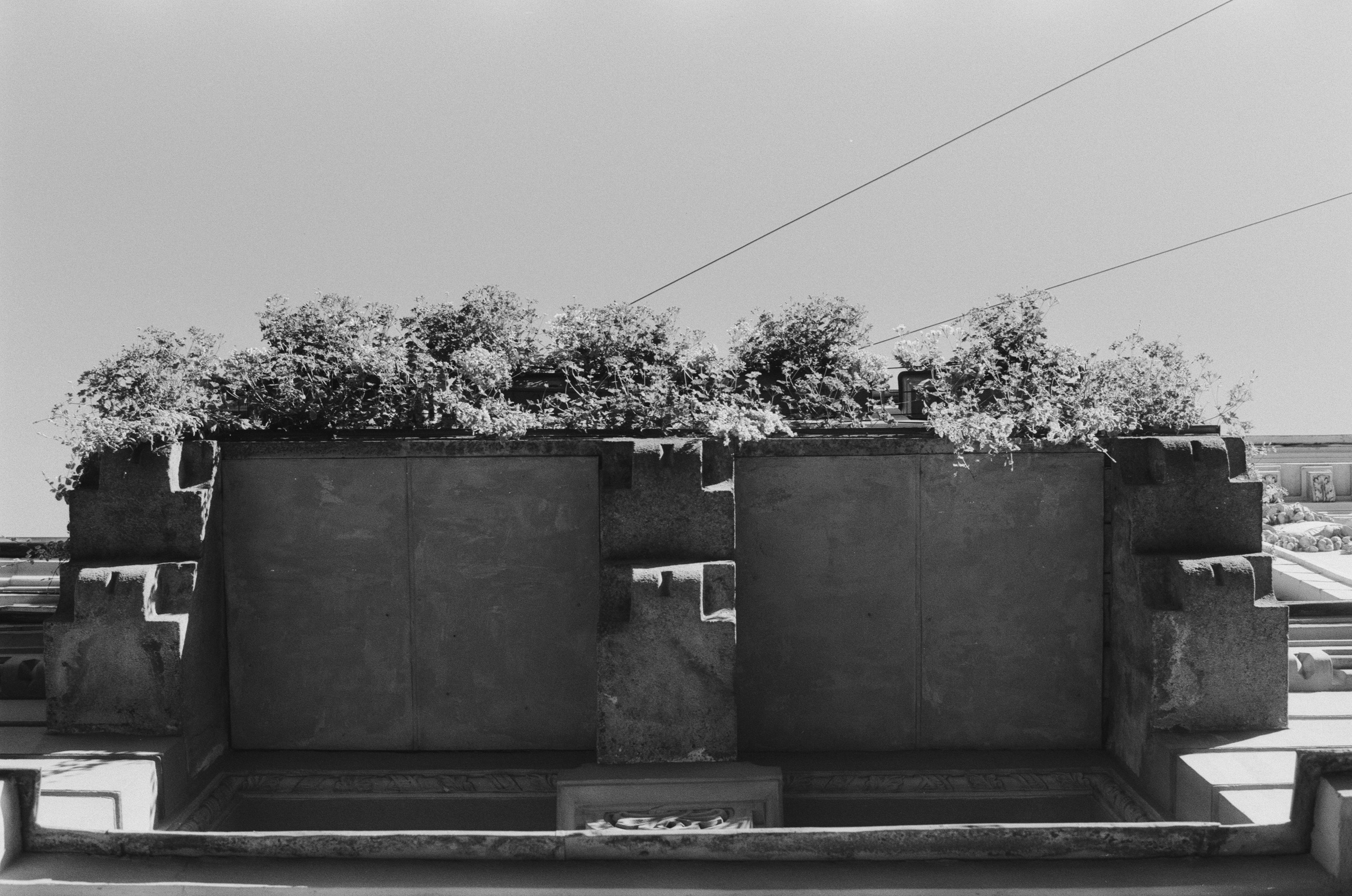 Black dog petersburg // st.-petersburg. EVER EXPOSED