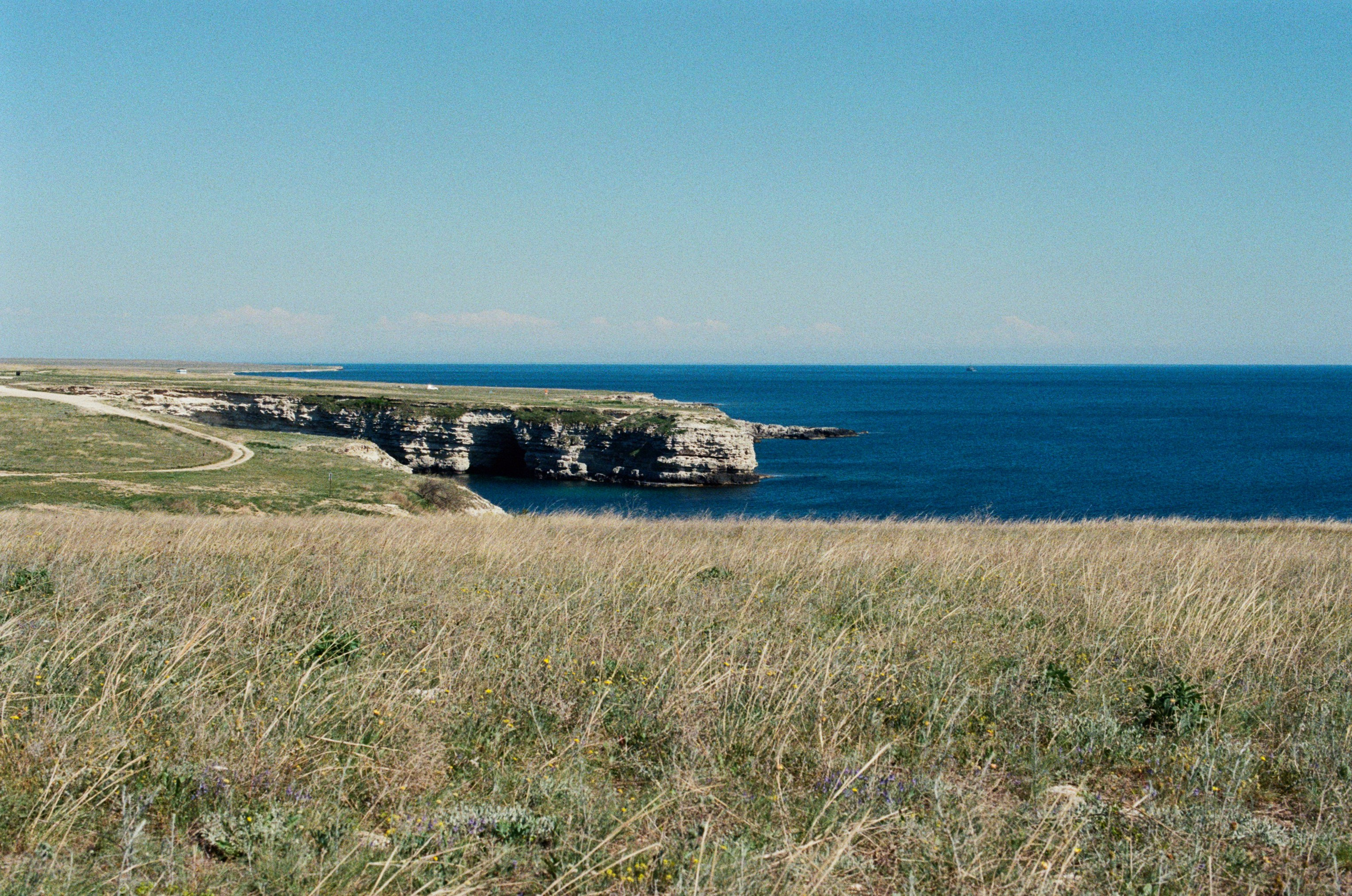The drugs don't work // ukraine, crimea. EVER EXPOSED