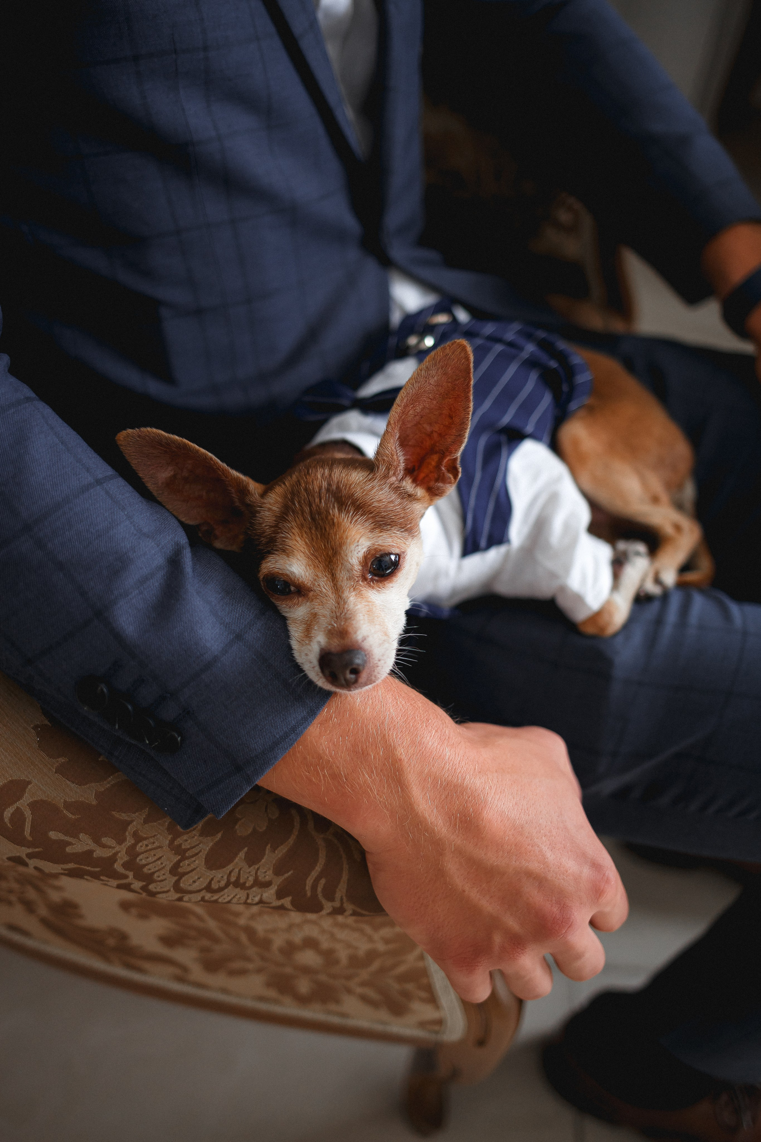 Оксана и Михаил. Фотограф в Москве Базанова Дарья