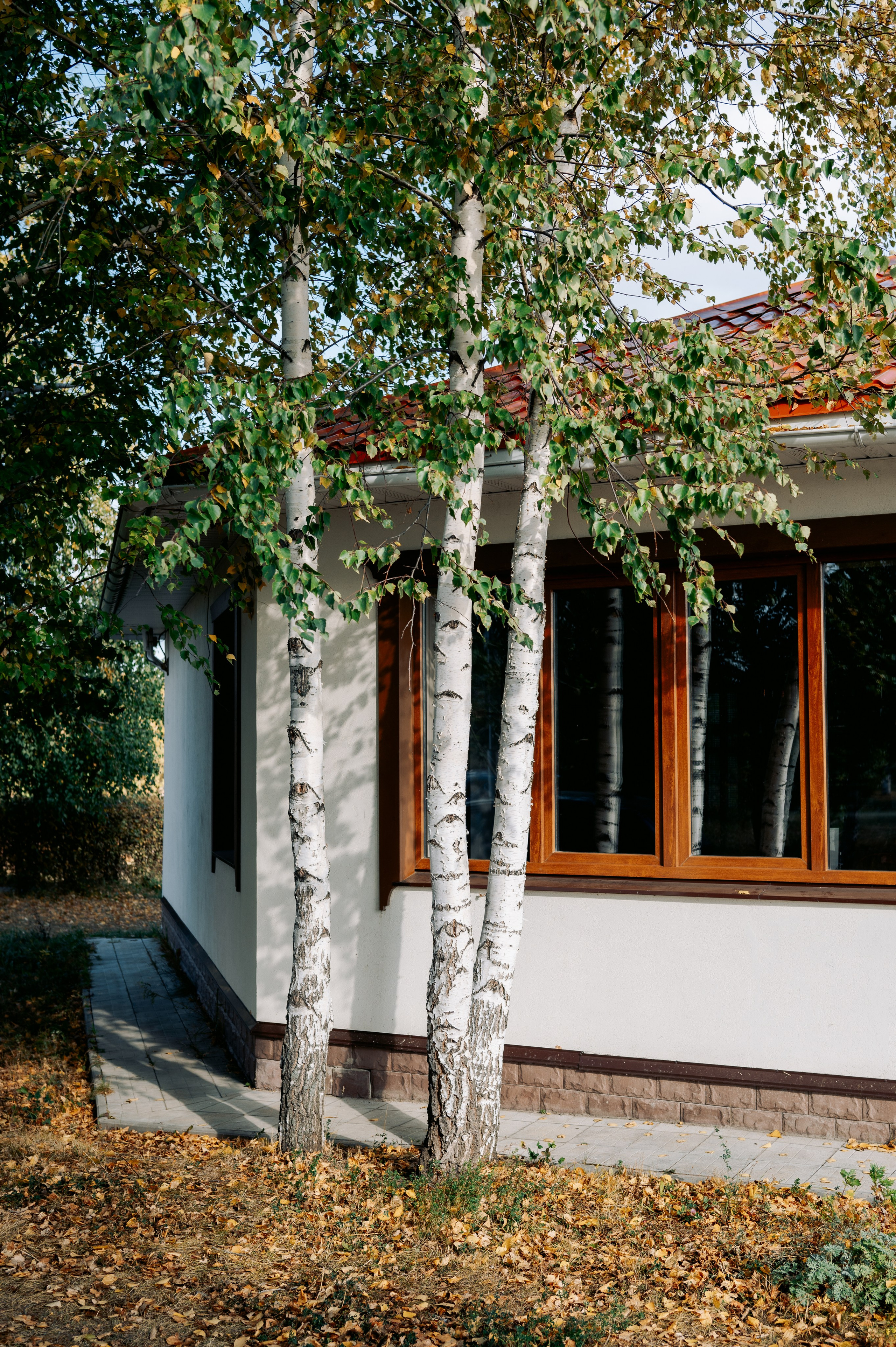 База отдыха «Заимка», Чувашия, сентябрь 2023. Фотограф Александр Золотых