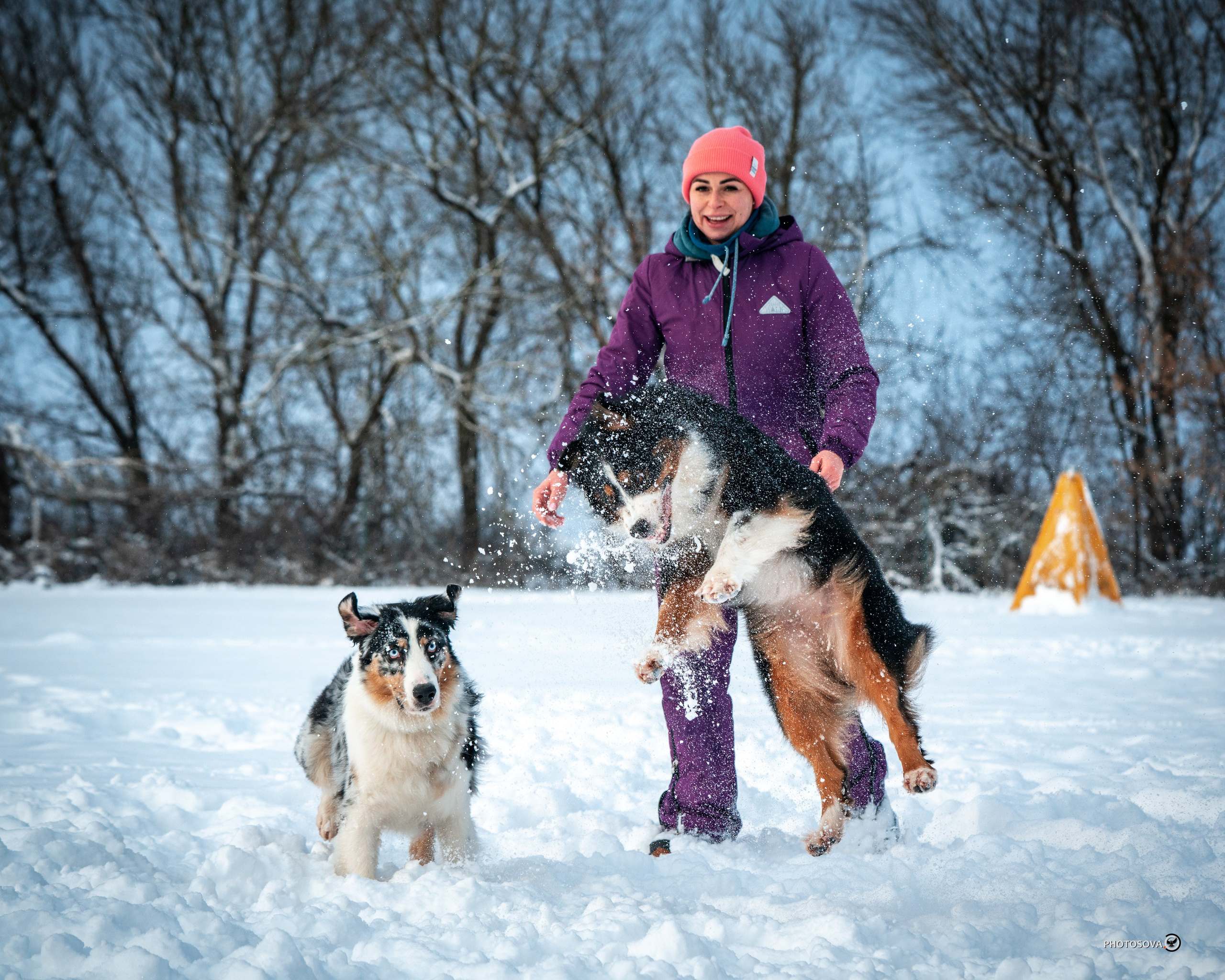 ФОТОПАМЯТЬ ВАШИХ ЭМОЦИЙ. Фотограф-анималист, семейный фотограф в Москве и Подмосковье. Фотосъёмка кинологических дисциплин