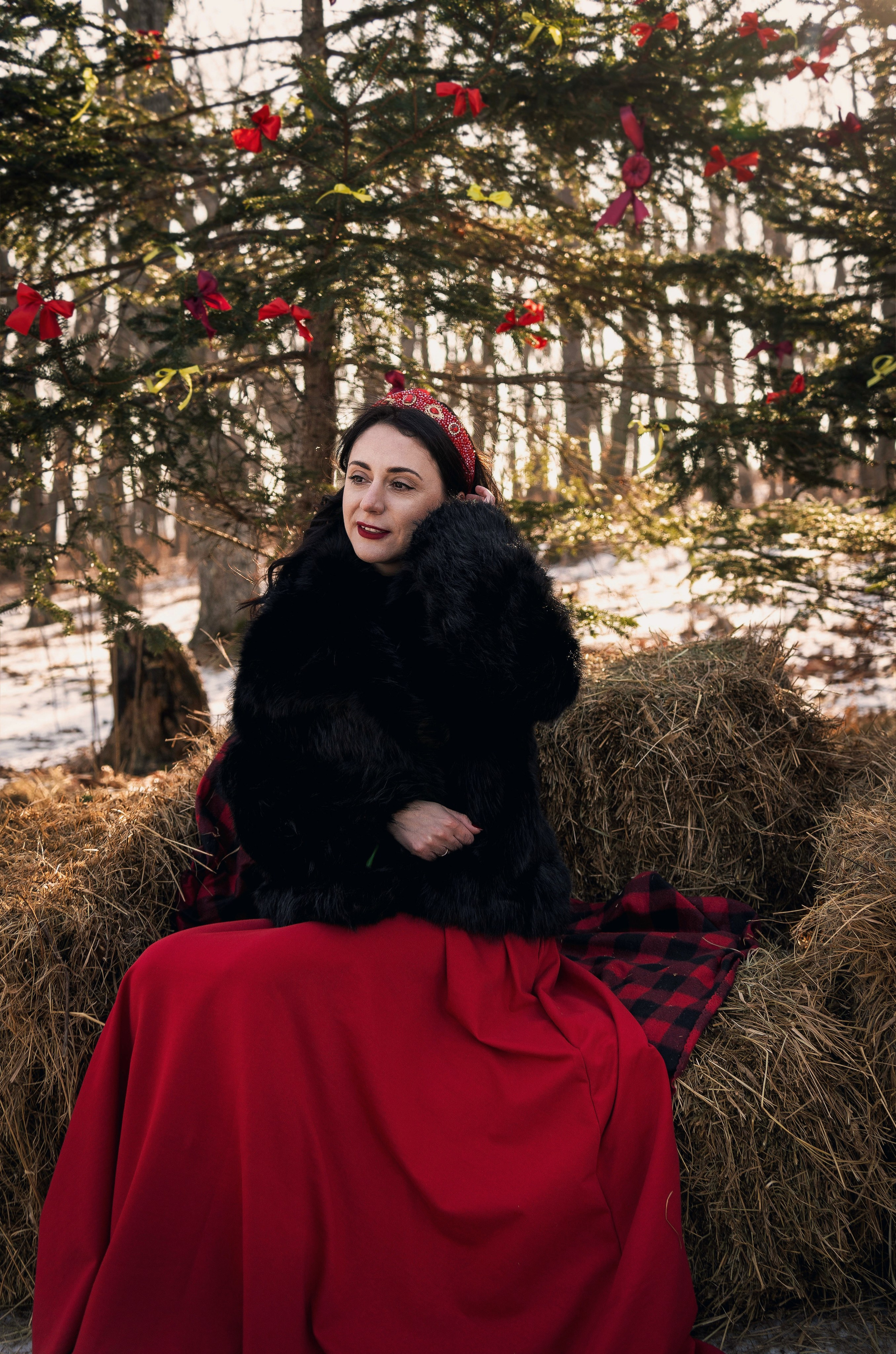 Фотодень «Символ 2026 года». Семейный фотограф анималист г. Находка