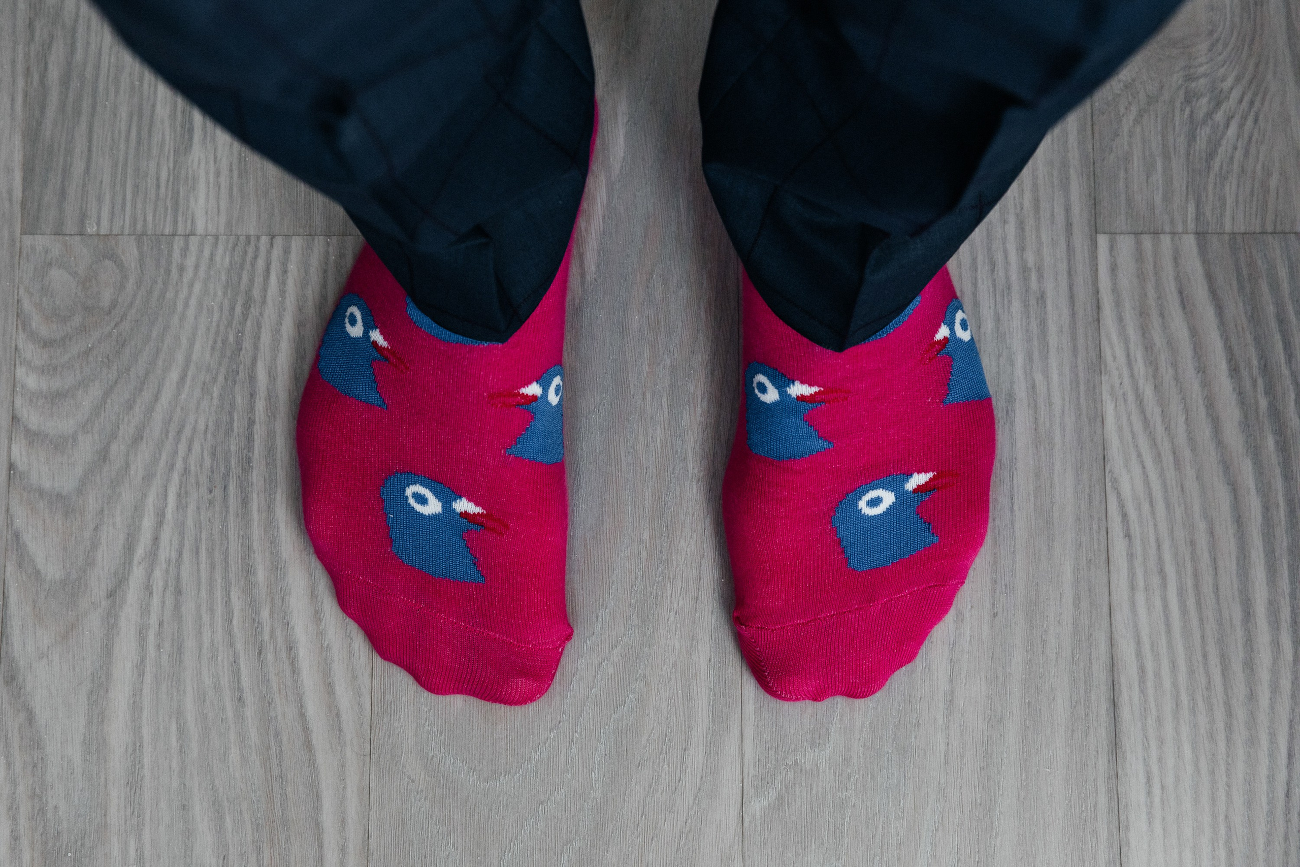 Don’t Stop The Party. Свадебный и репортажный фотограф