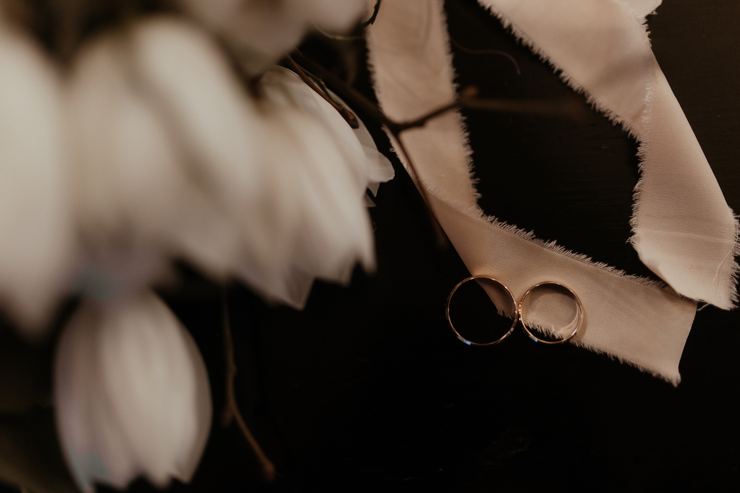 Wedding «Marriage registration». Свадебные фотограф и видеограф Наталья и Анатолий Новиковы СПб