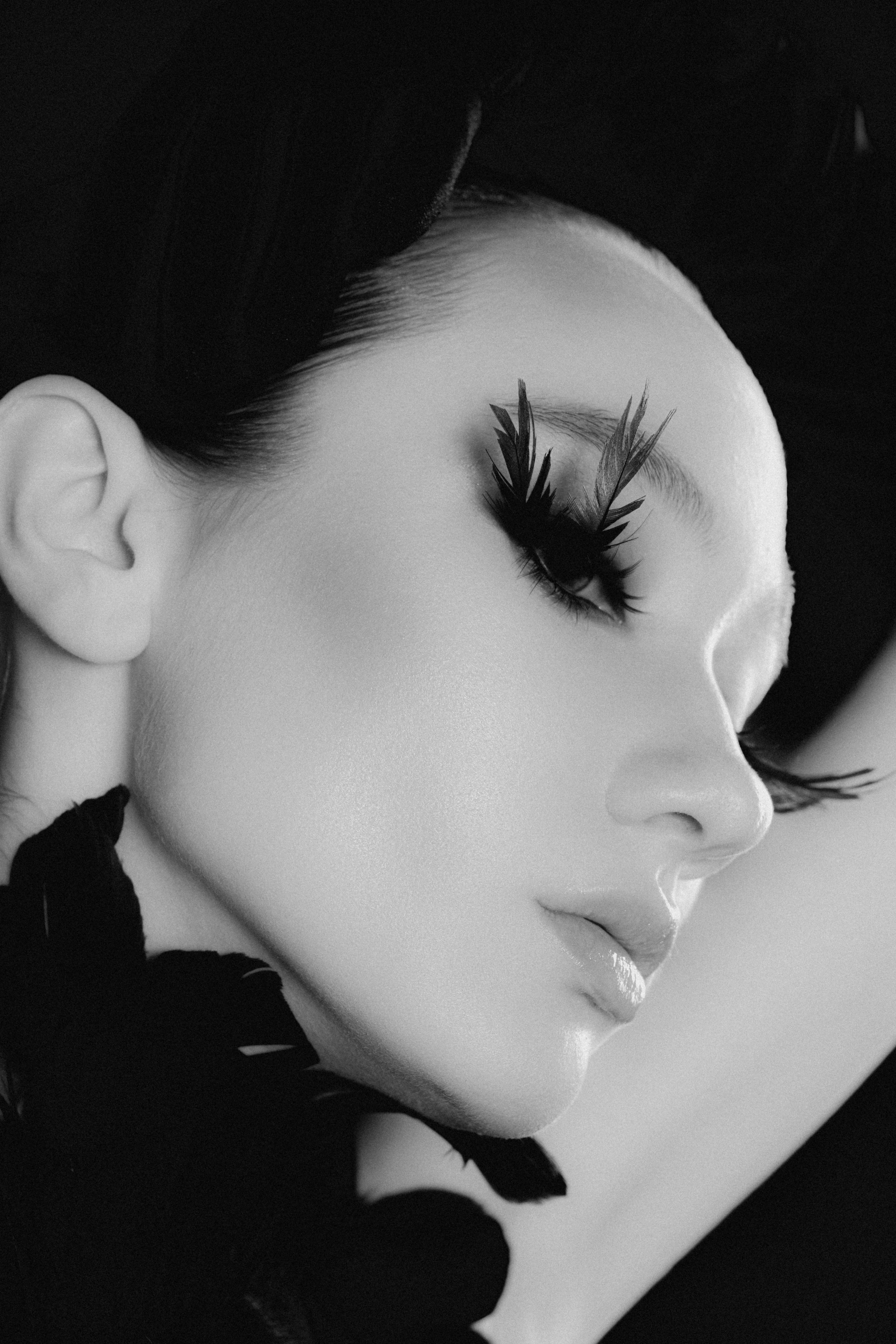 Черный лебедь. Фотограф Санкт-Петербург Лиза Артти