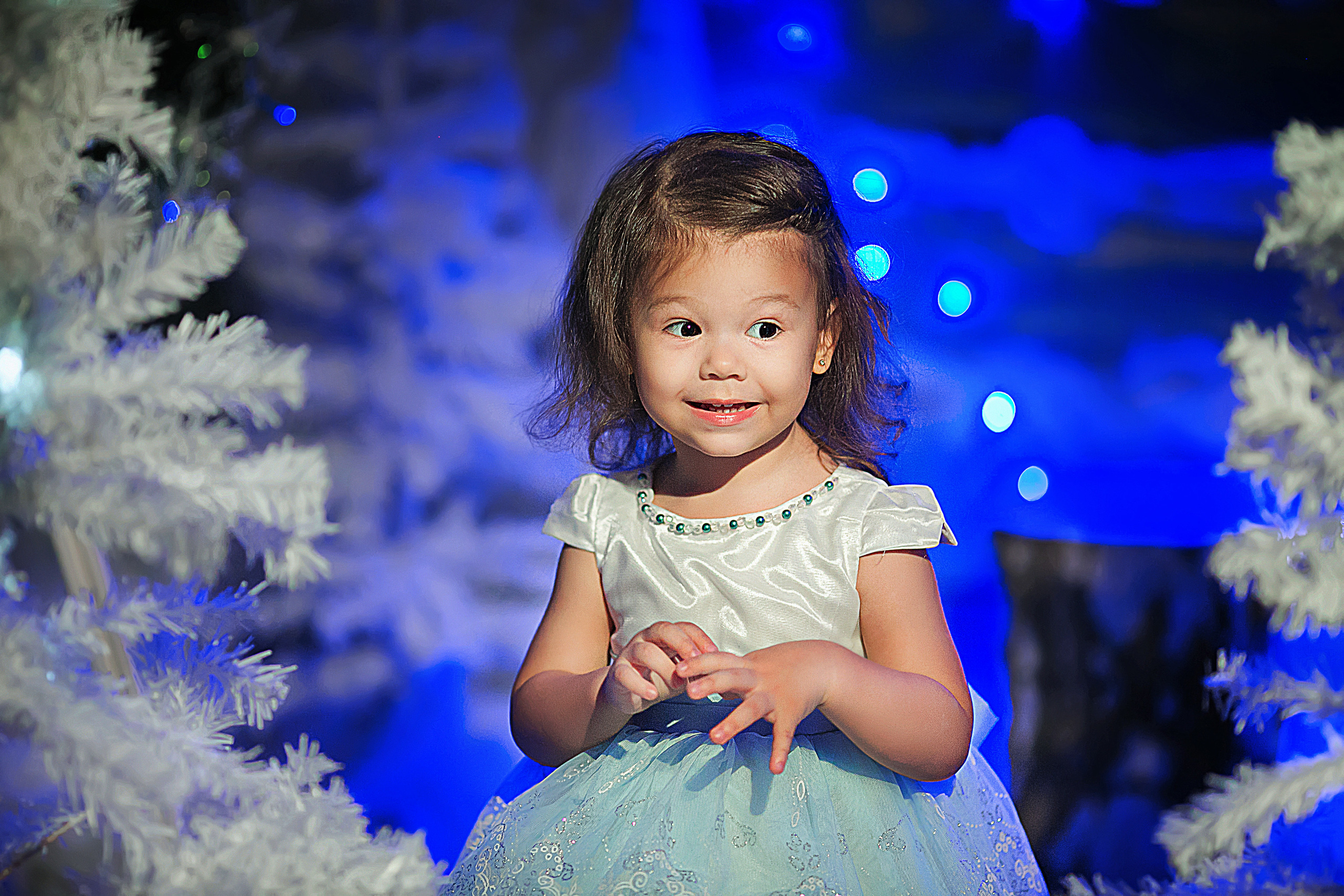 Новый Год. Фотограф в Москве Оксана Цехмистер