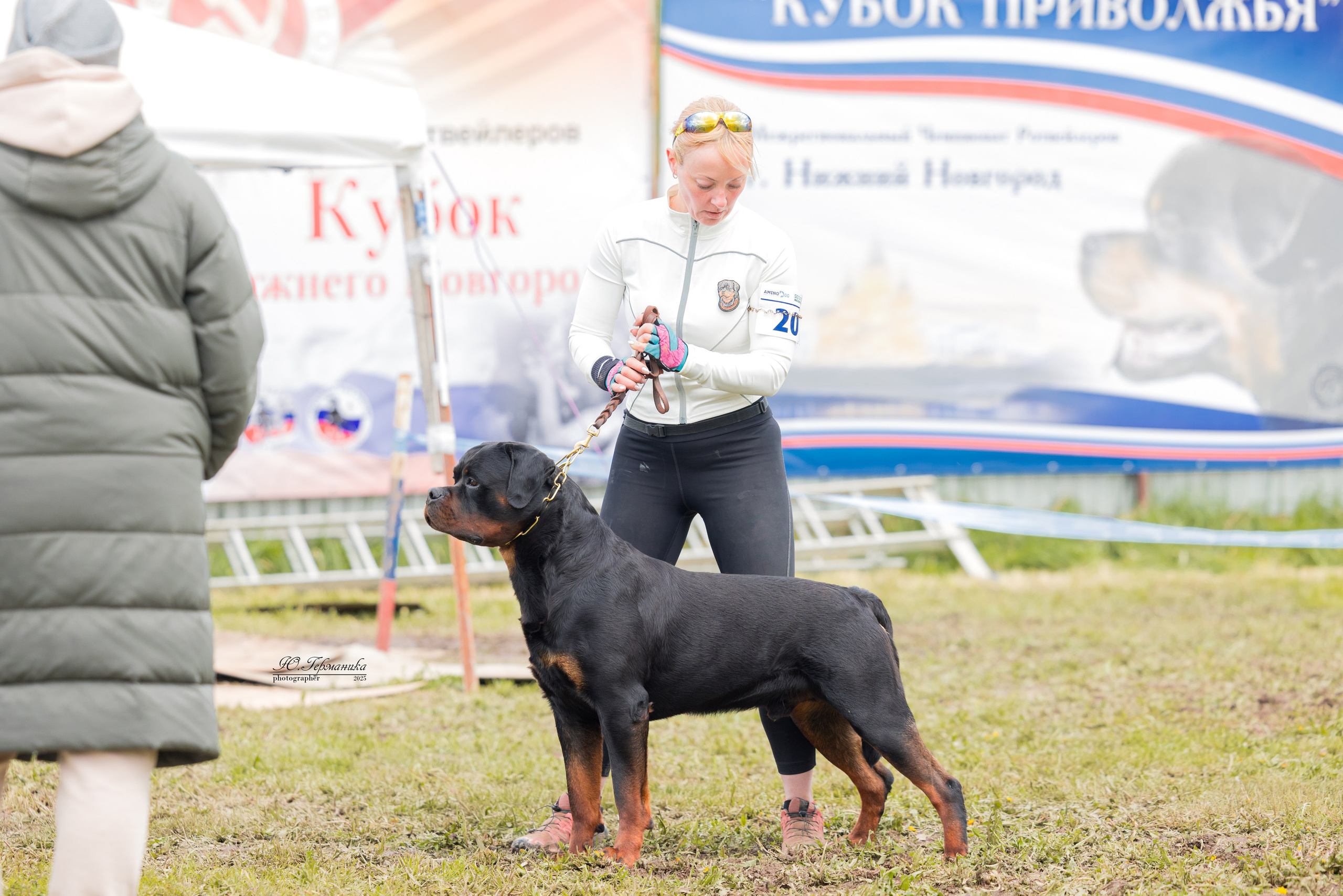 Нижний Новгород 2хмоно ротвейлеров 10-11.05.2025. Фотограф-анималист Юлия Германика