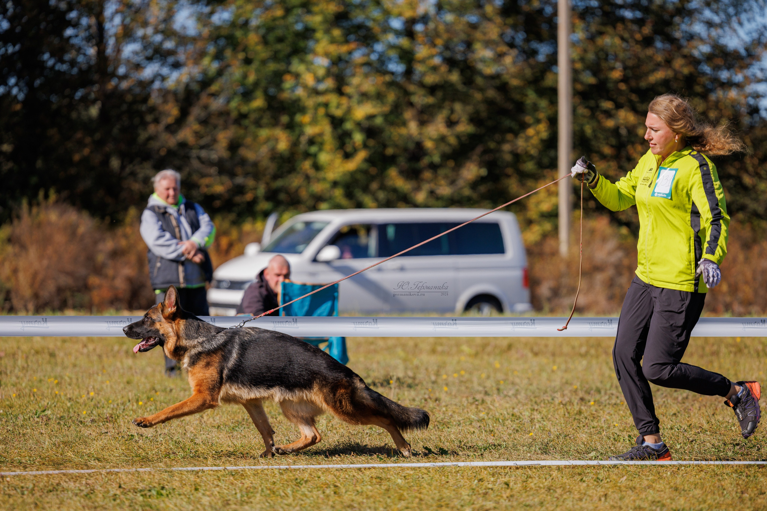 Тверь немецкие овчарки 22.09.2024. Фотограф-анималист Юлия Германика