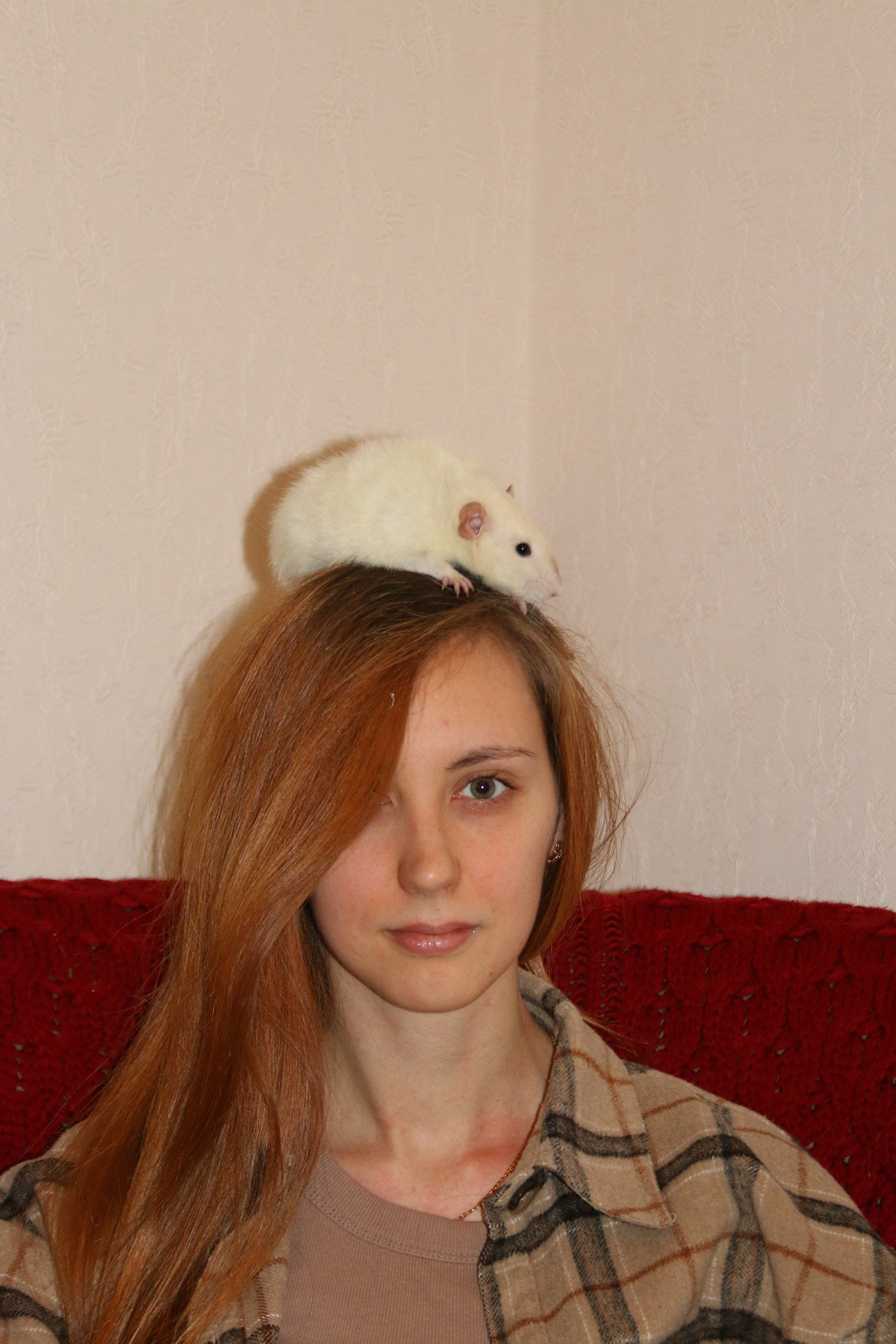 Съемка с питомцем