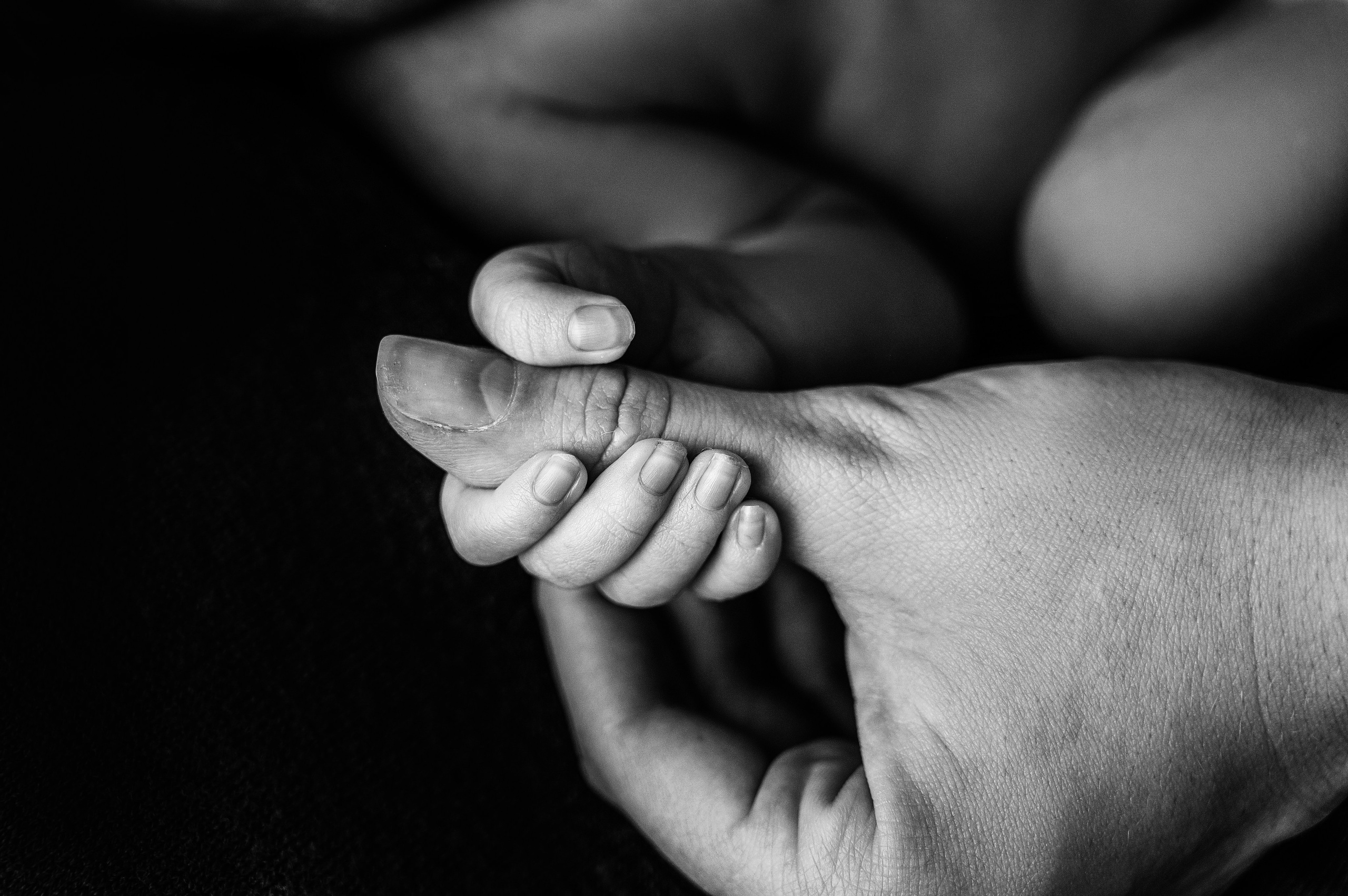 Черно белые фото. Фотограф новорожденных малышей в Санкт-Петербурге