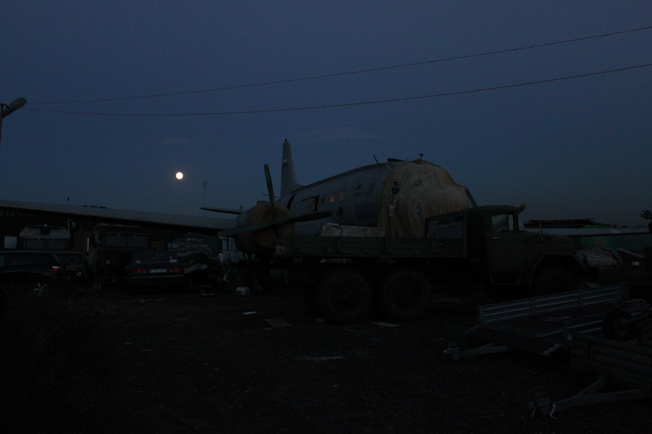 Ил-14Т «Голубая Мечта» работы в Тушино (2011 г.). Фотоальбом показывающий увлекательный мир авиации и мир медведей Андрея Иванова
