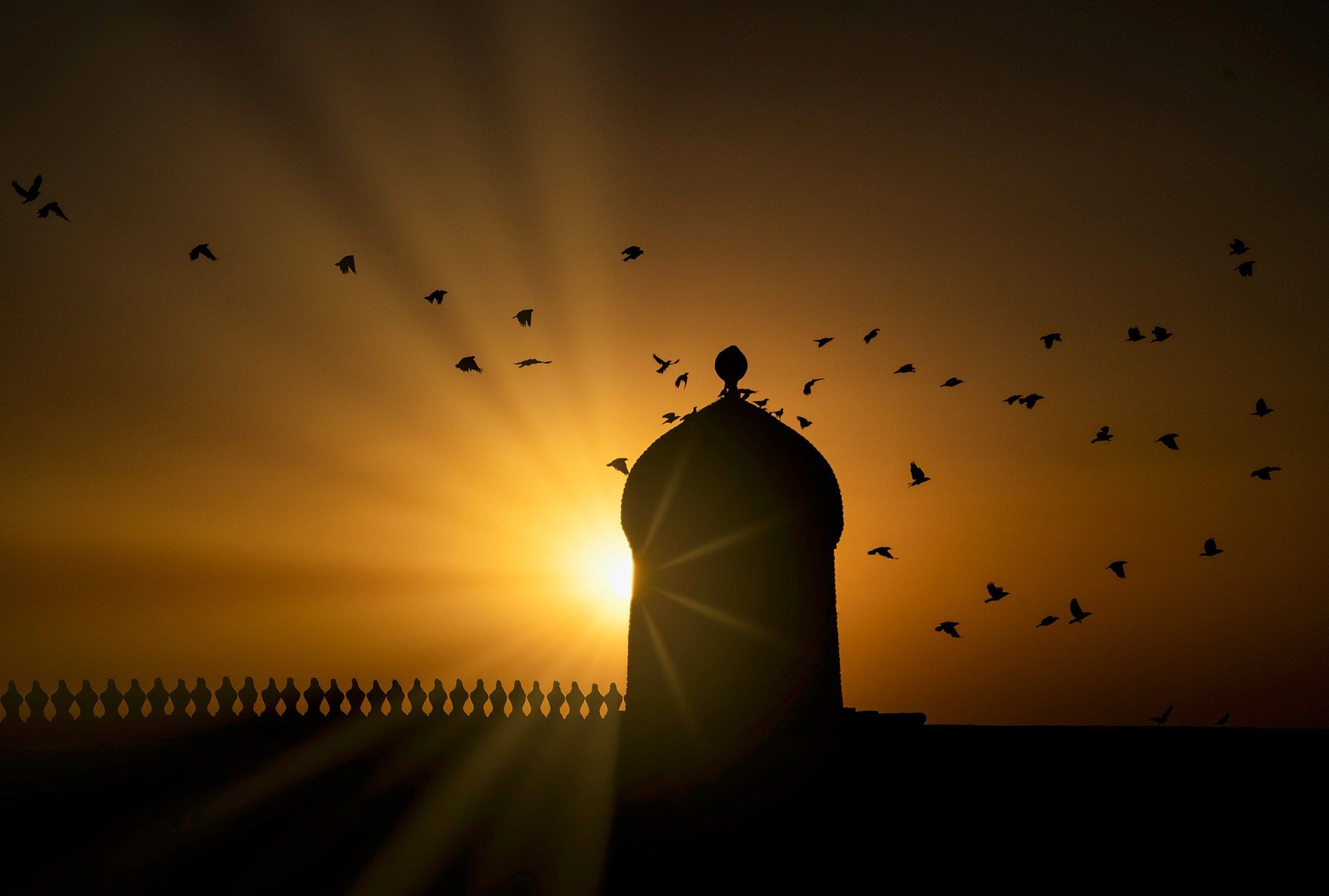 По Узбекистану. Фотограф Владимир Остапенко