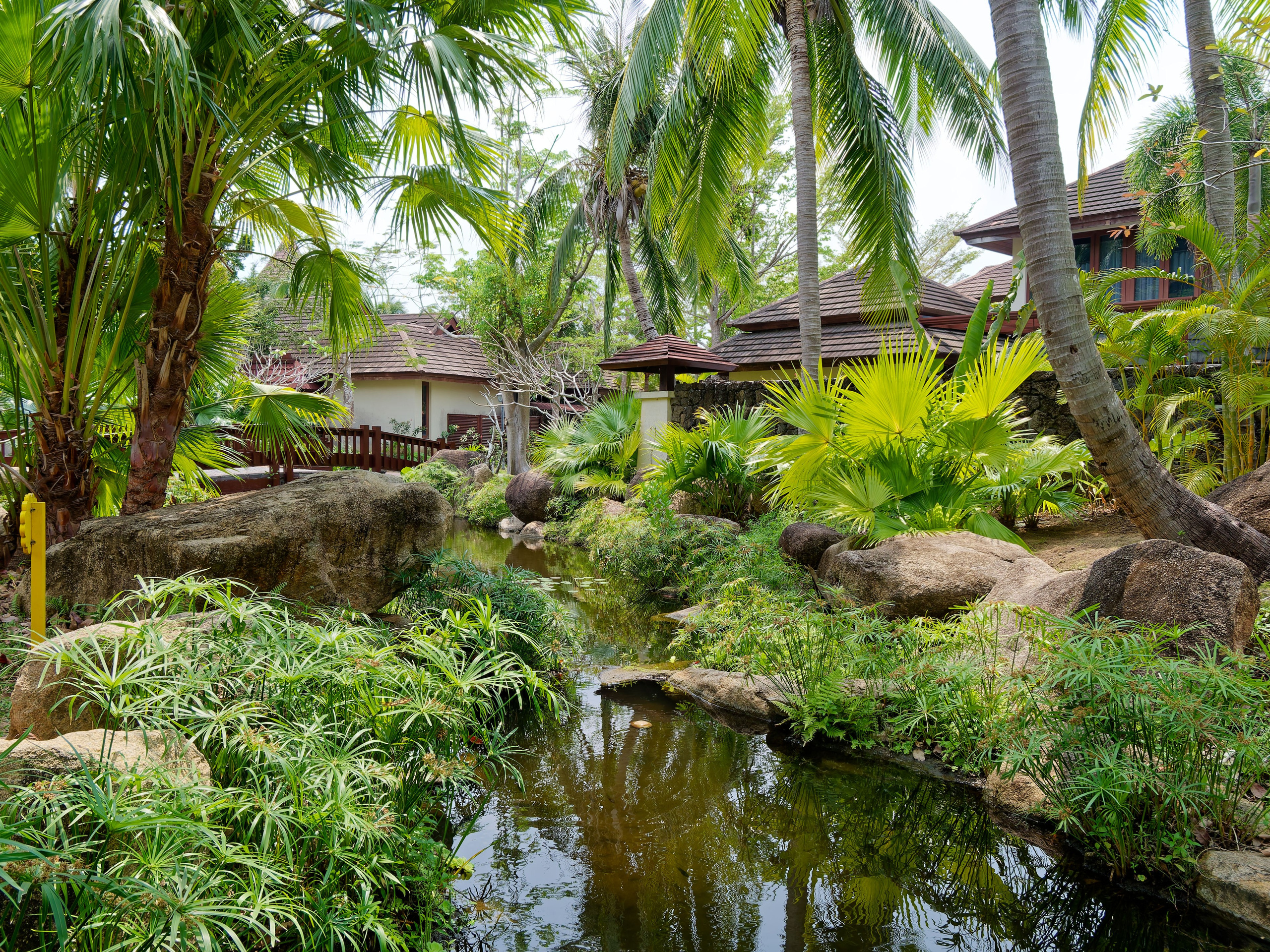 Хайнань 2026, первые впечатления. Фотопрогулки по Миру