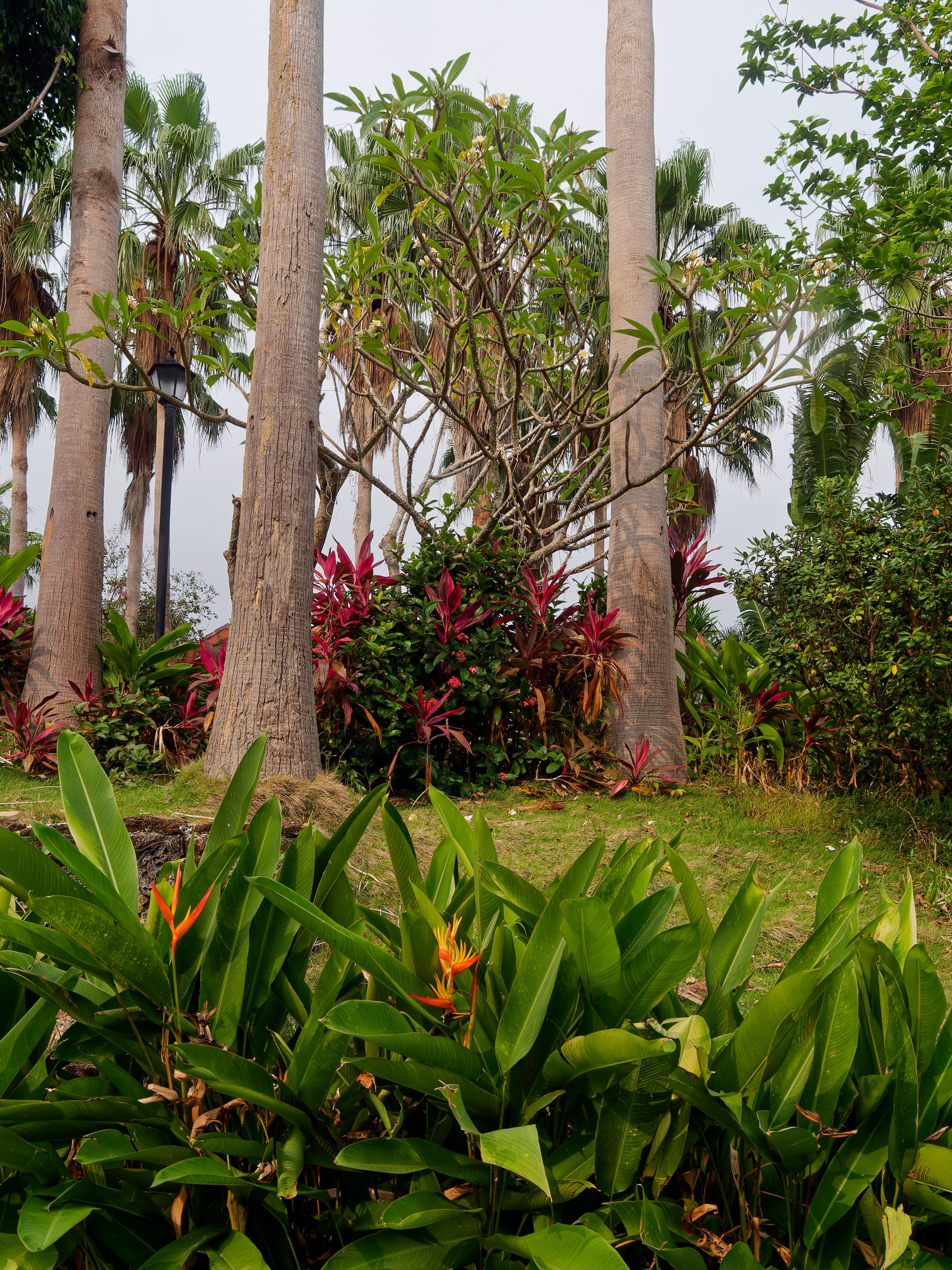 Хайнань 2026, улицы Ялунвань и Саньи. Фотопрогулки по Миру