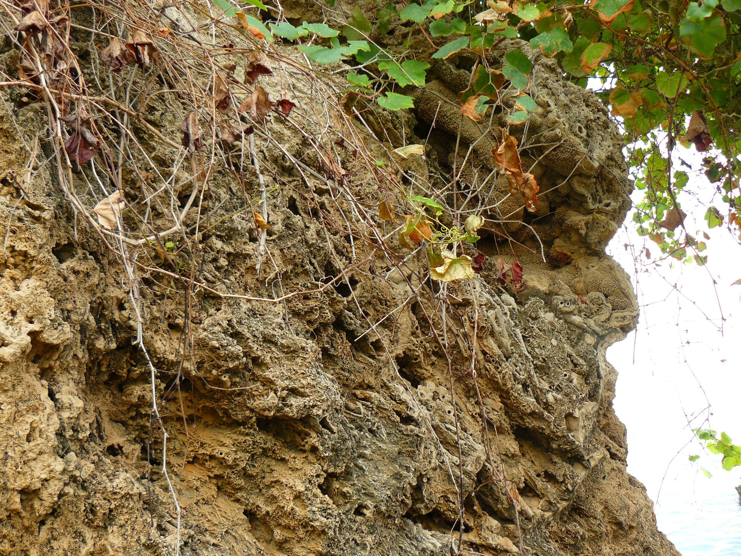 Анталия 2010. Фотопрогулки по Миру