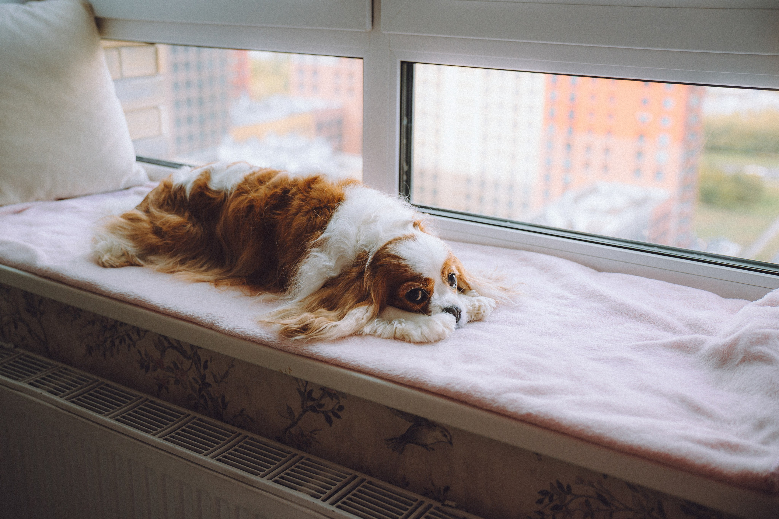 Наташа и Вики