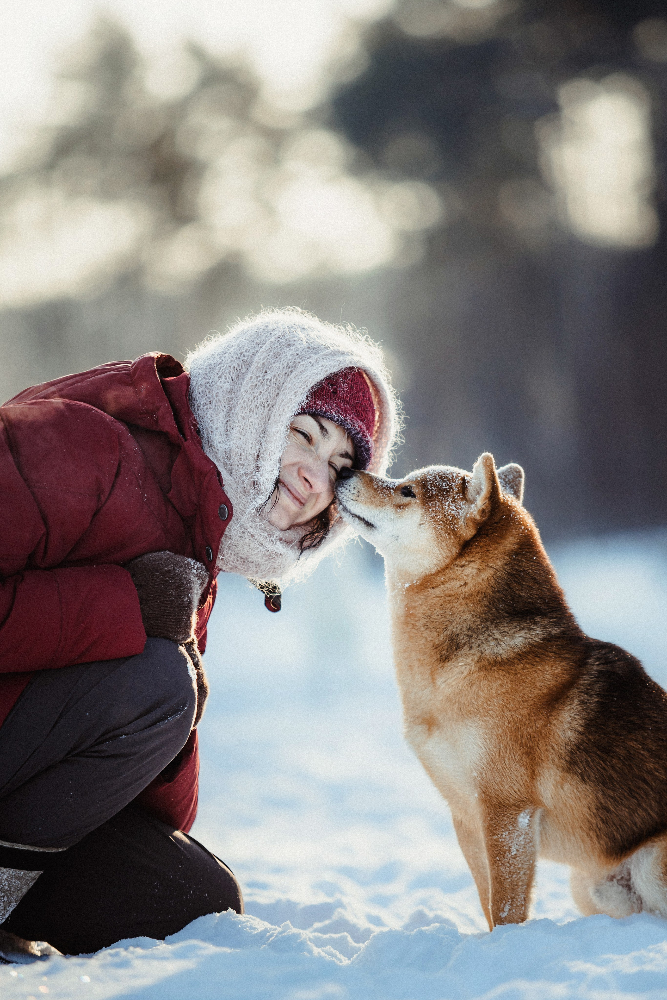 Шед, Цири и Ира