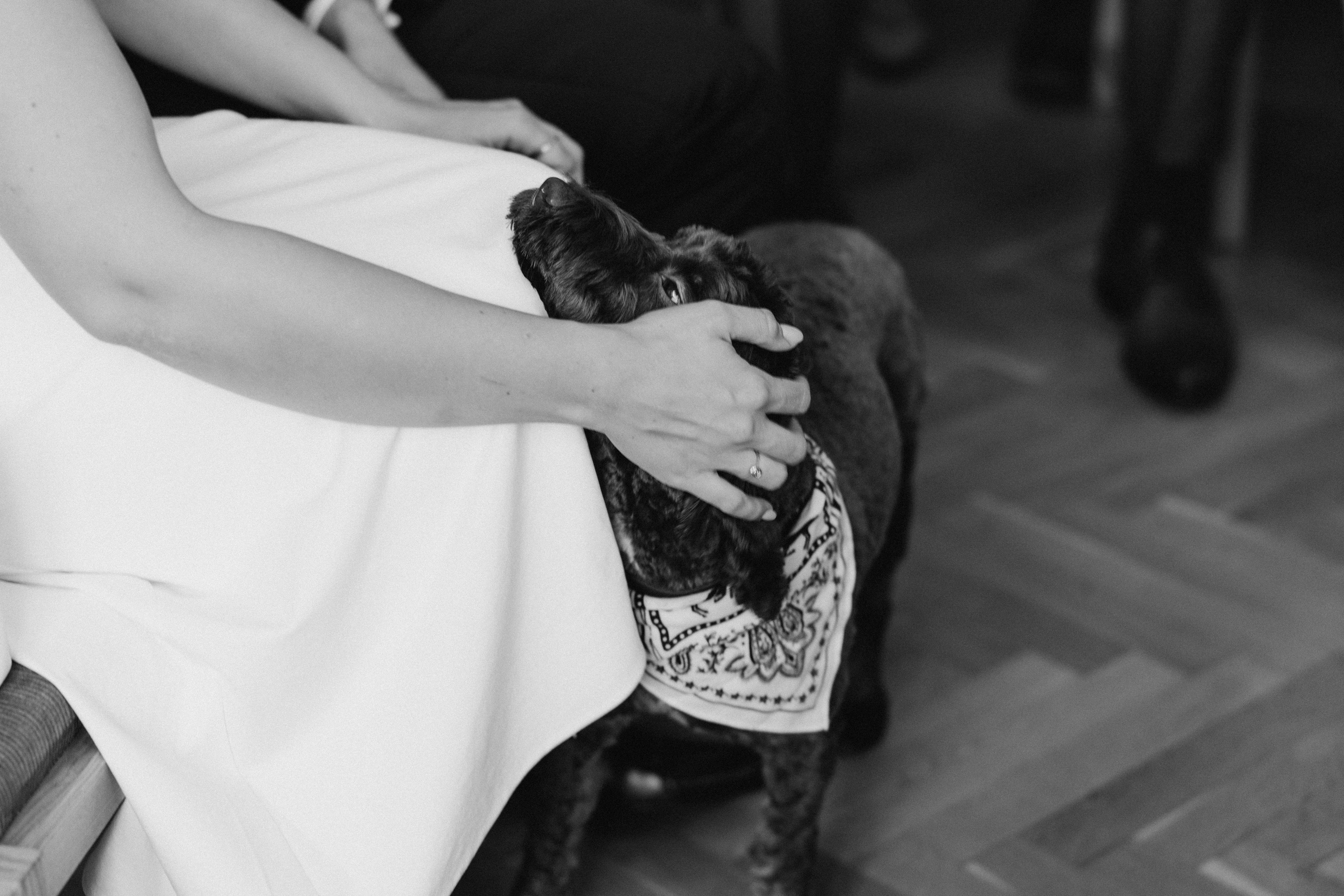 Hochzeit in Waren (Müritz). Hochzeitsfotograf in Potsdam — Alister Licht